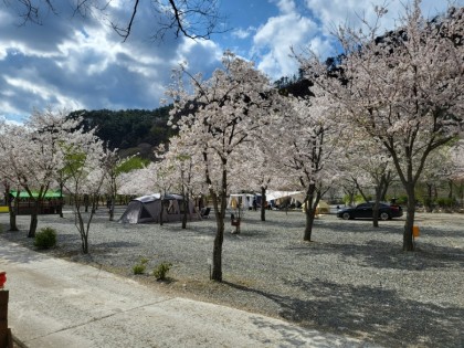 산솔오토캠핑장