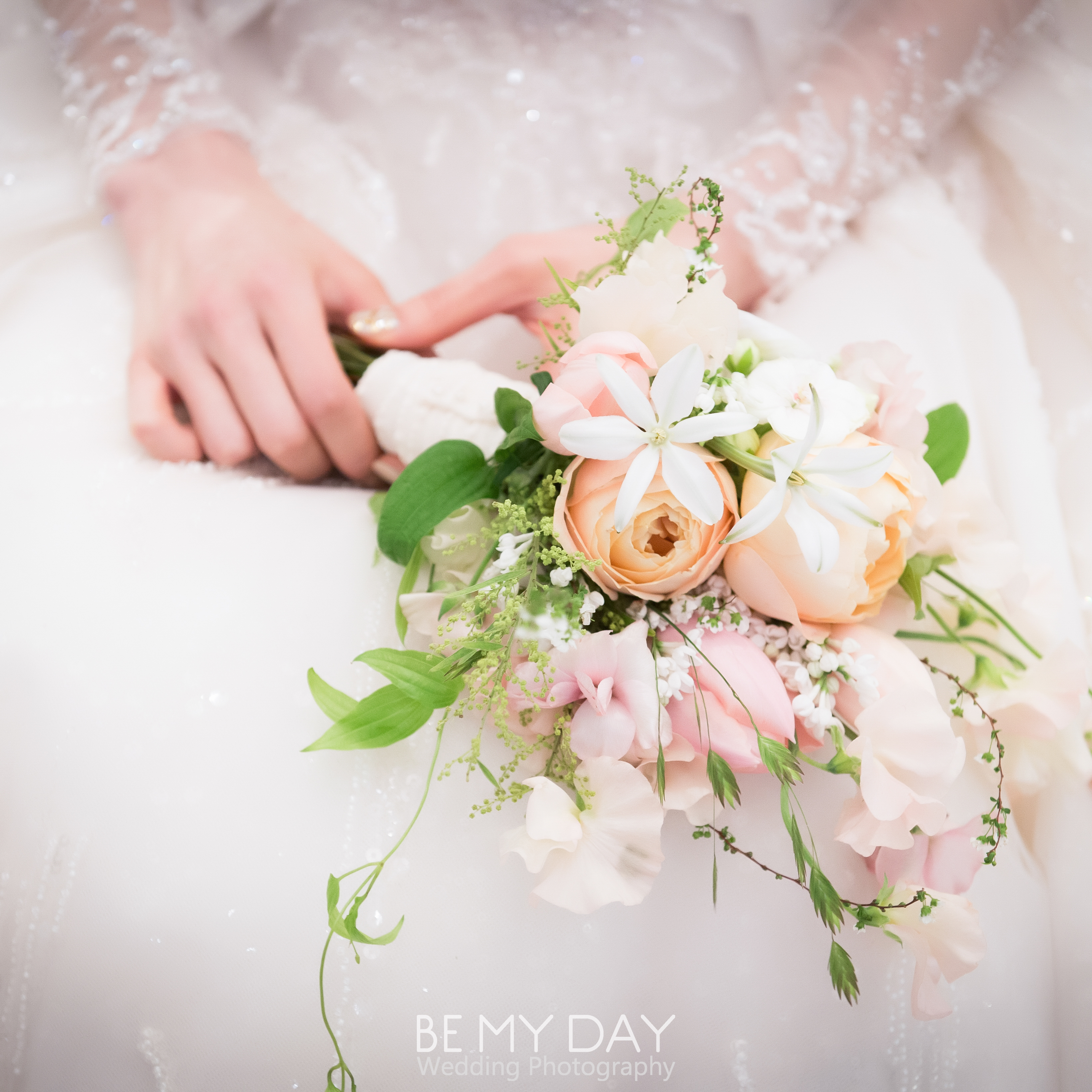 비마이데이 대표 이미지