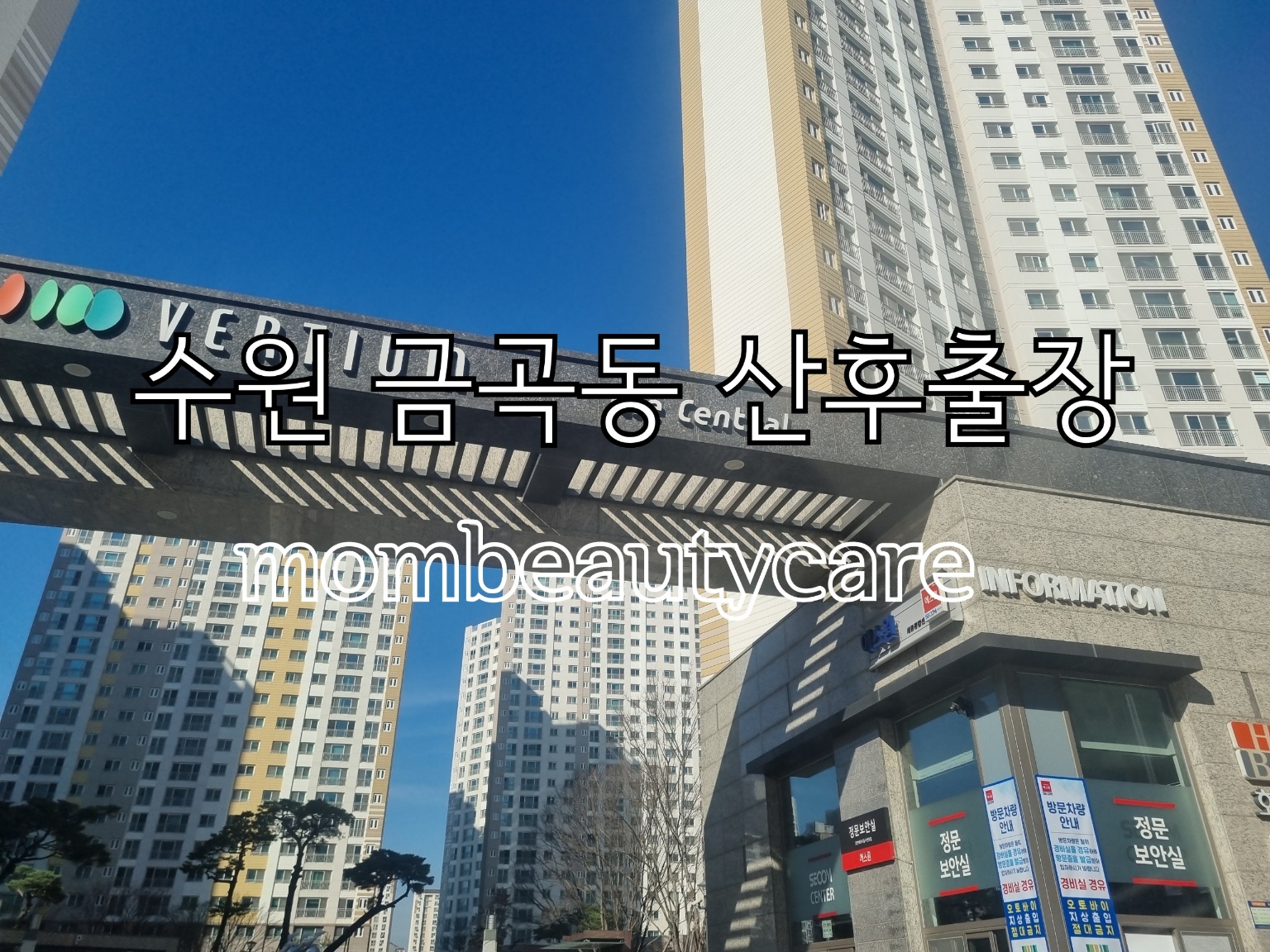 맘미케어
