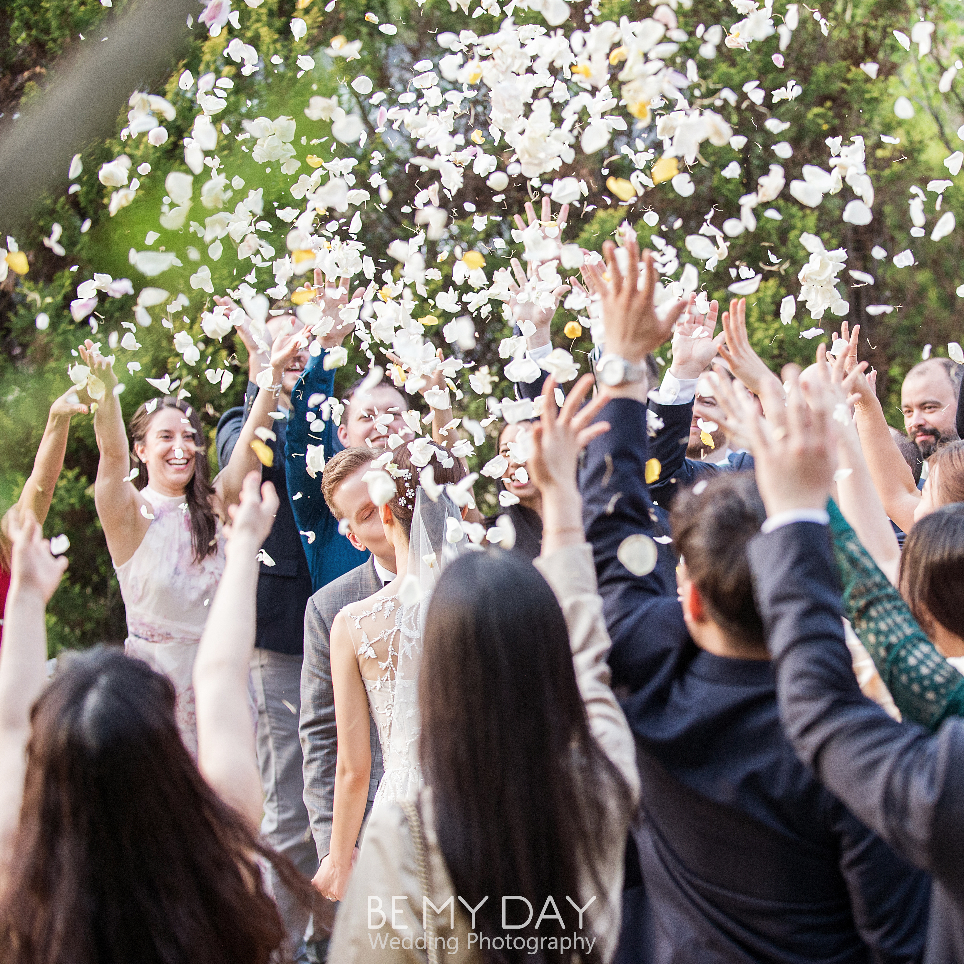 비마이데이 대표 이미지