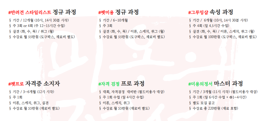 미용의정서애견미용학원 인천점