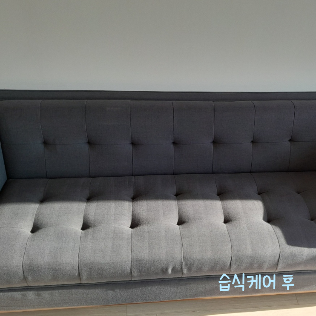 비치움