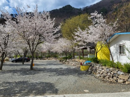 산솔오토캠핑장