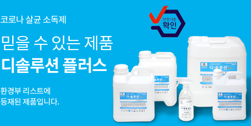 디에스시스템