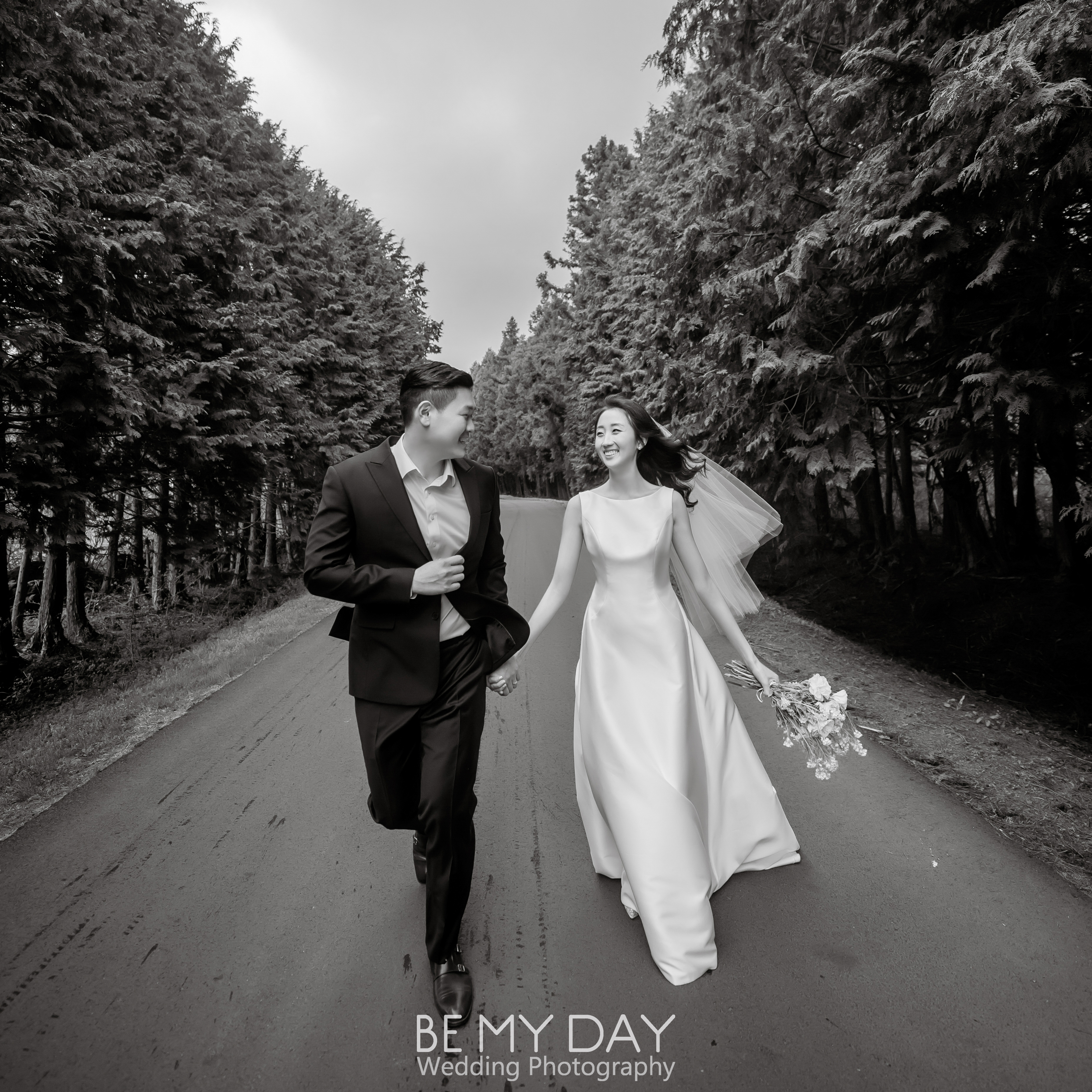 비마이데이 대표 이미지