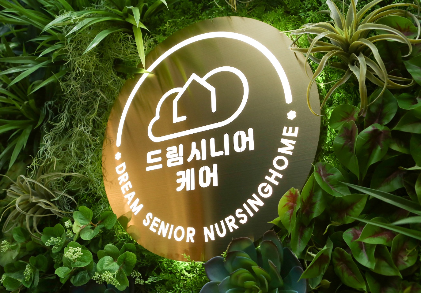 드림시니어케어