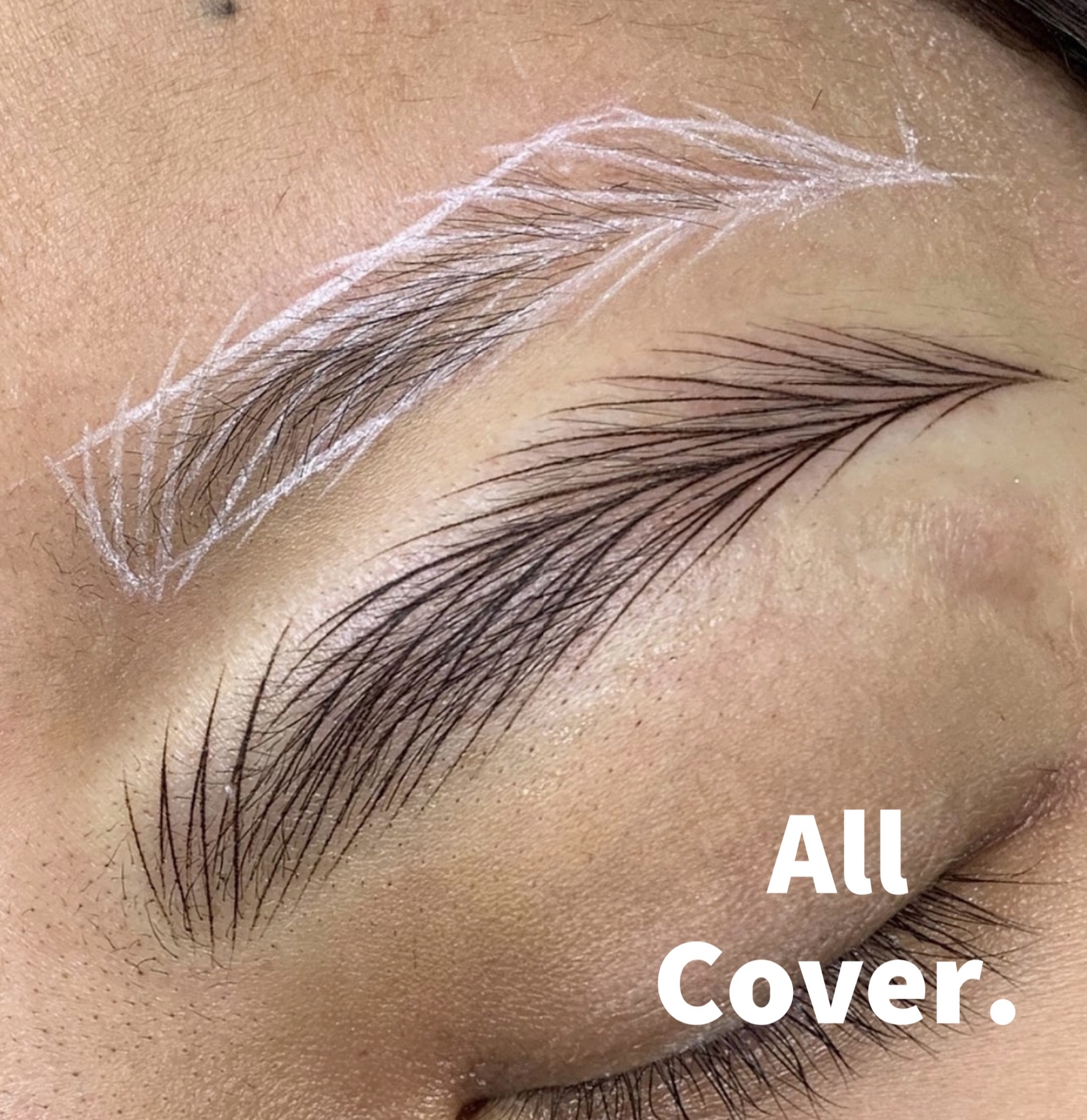 올커버 눈썹 대표 이미지
