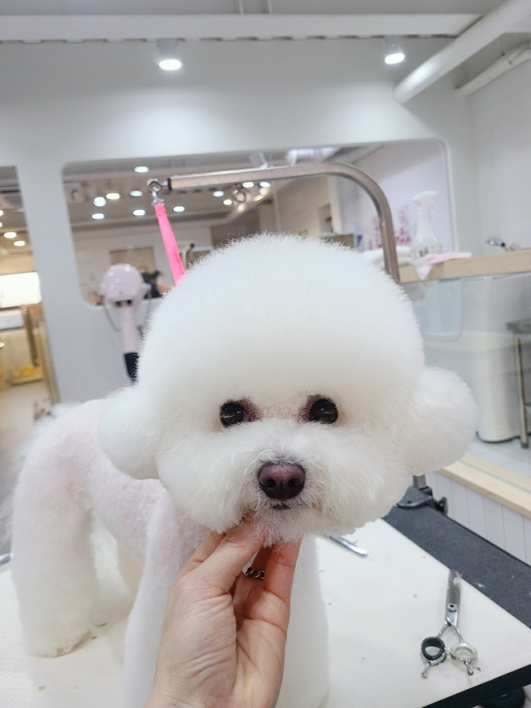 베럴라이프 대표 이미지