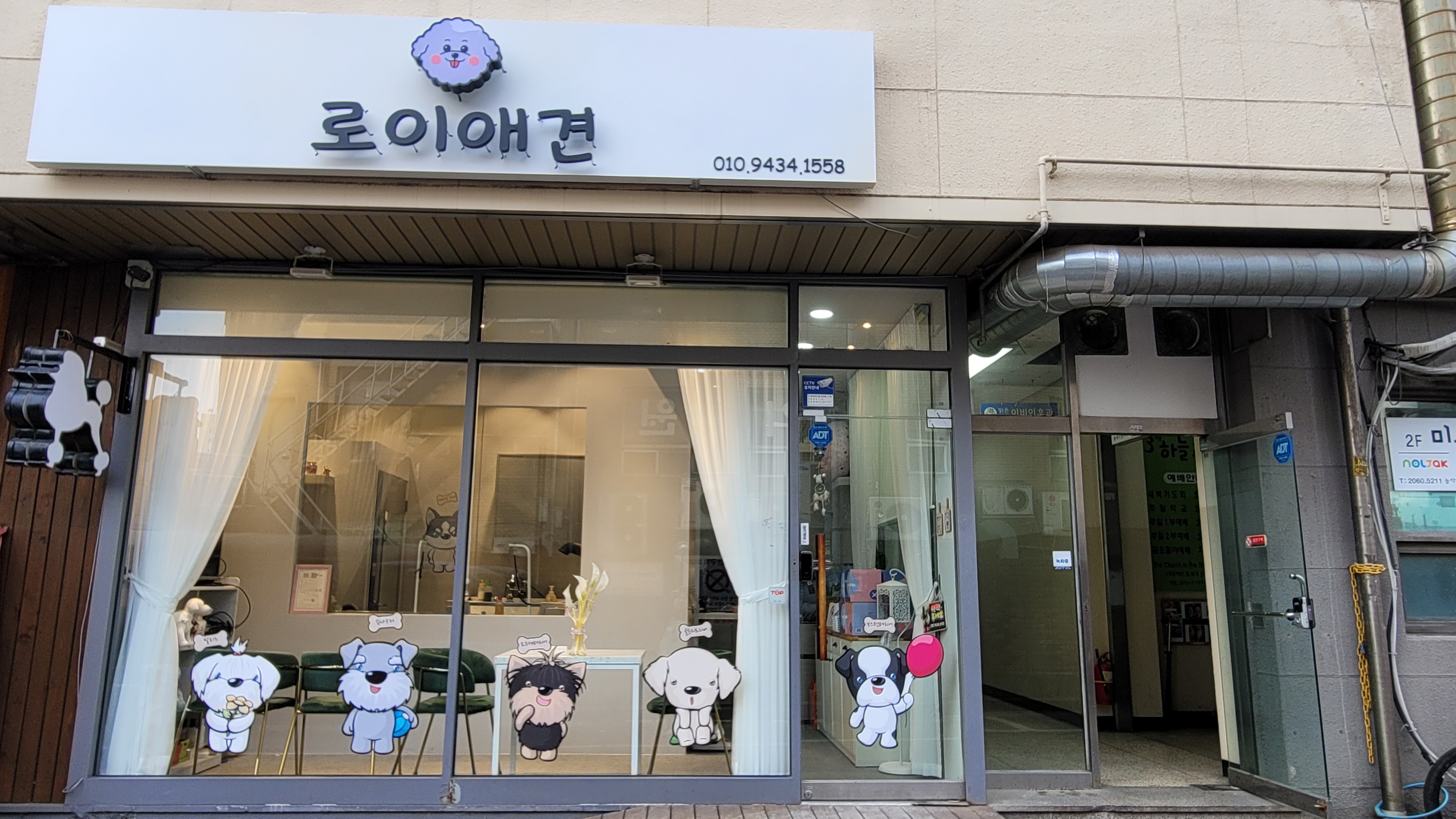 로이애견