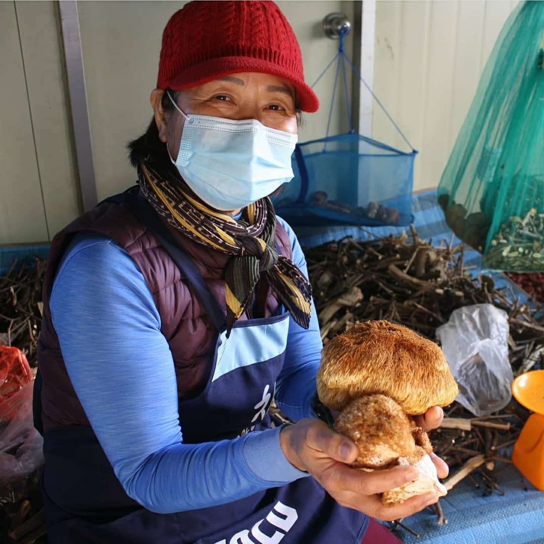 DA.dodo | 경북 경주시에서 능이백숙맛집 소개합니다 능이백숙전문점 방문해 보세요 황제 백숙