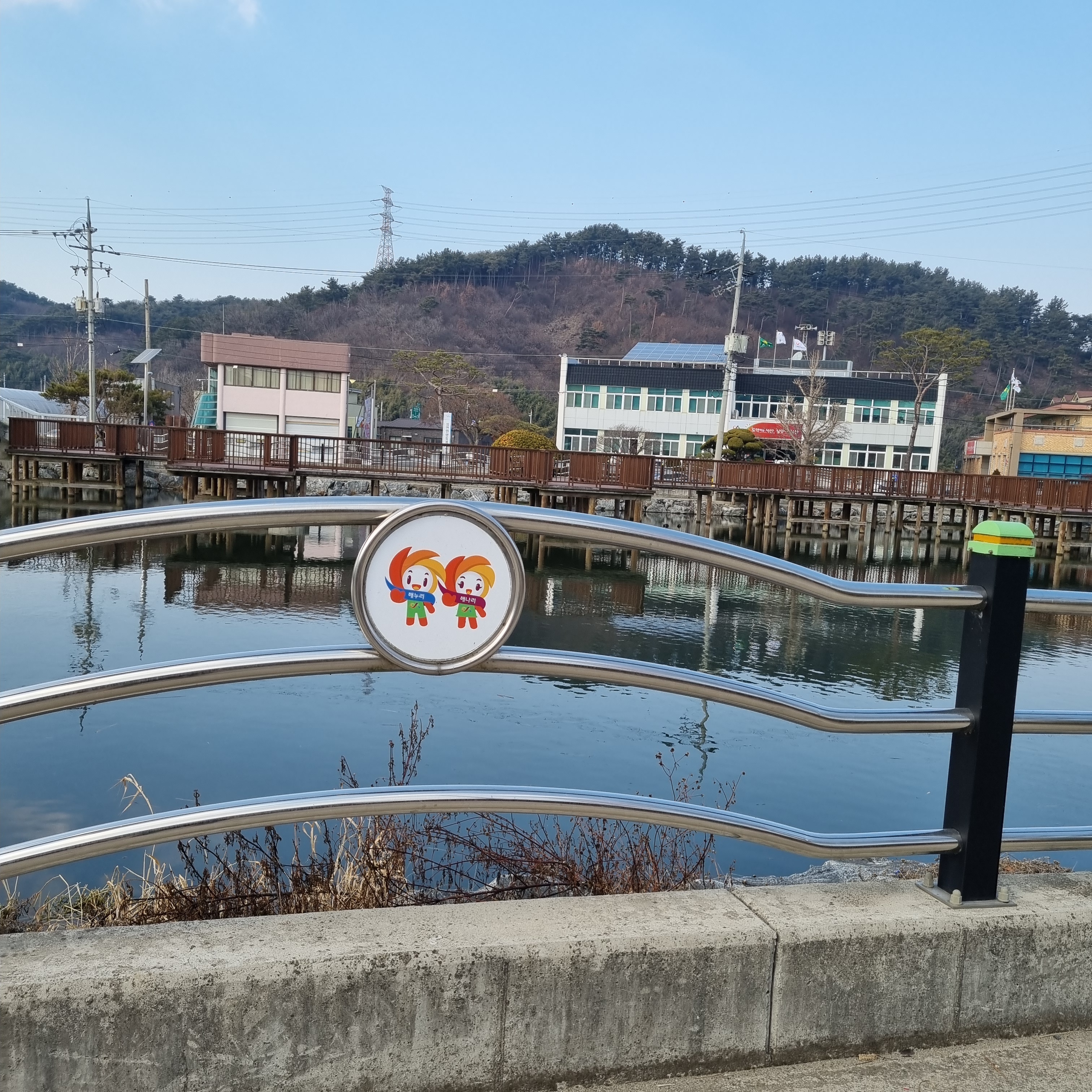 손가네행복식당