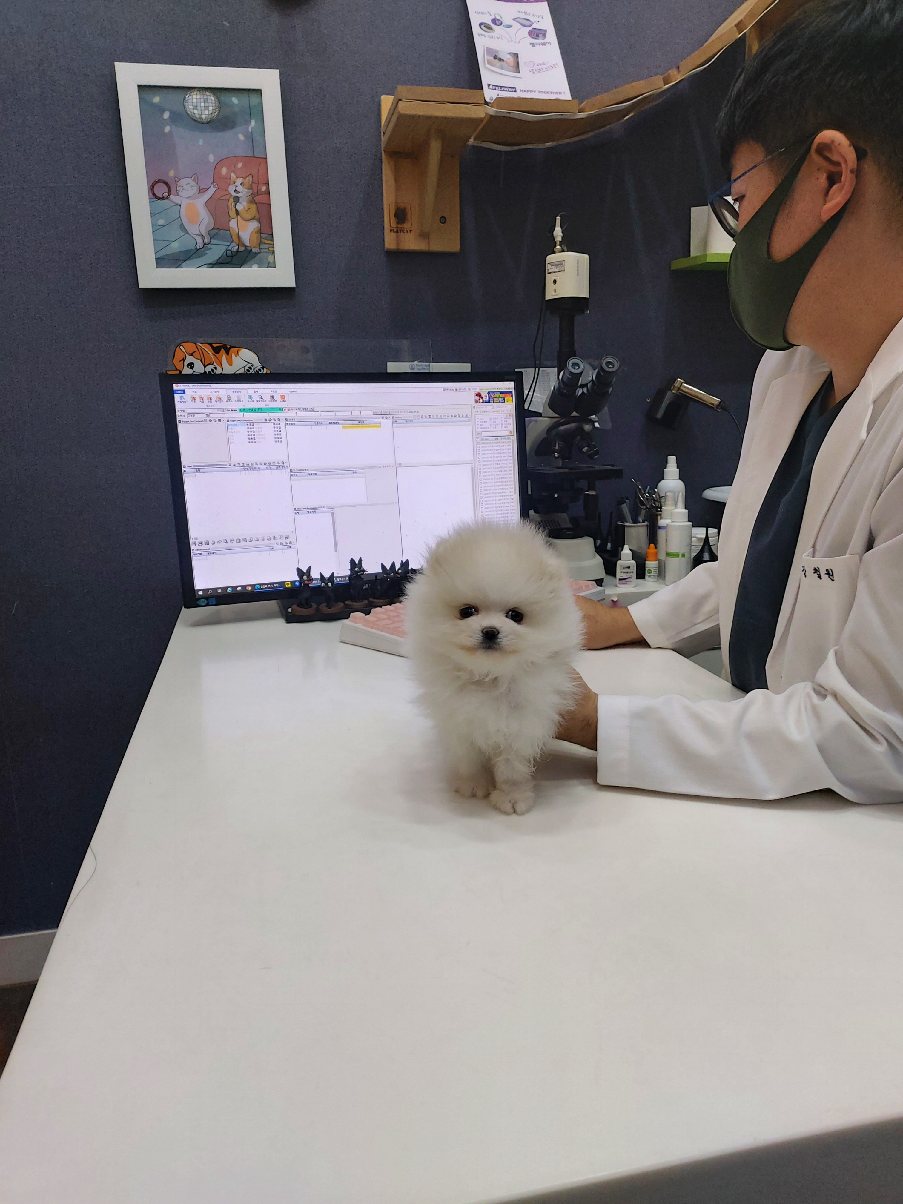 공원옆동물의료센터 대표 이미지