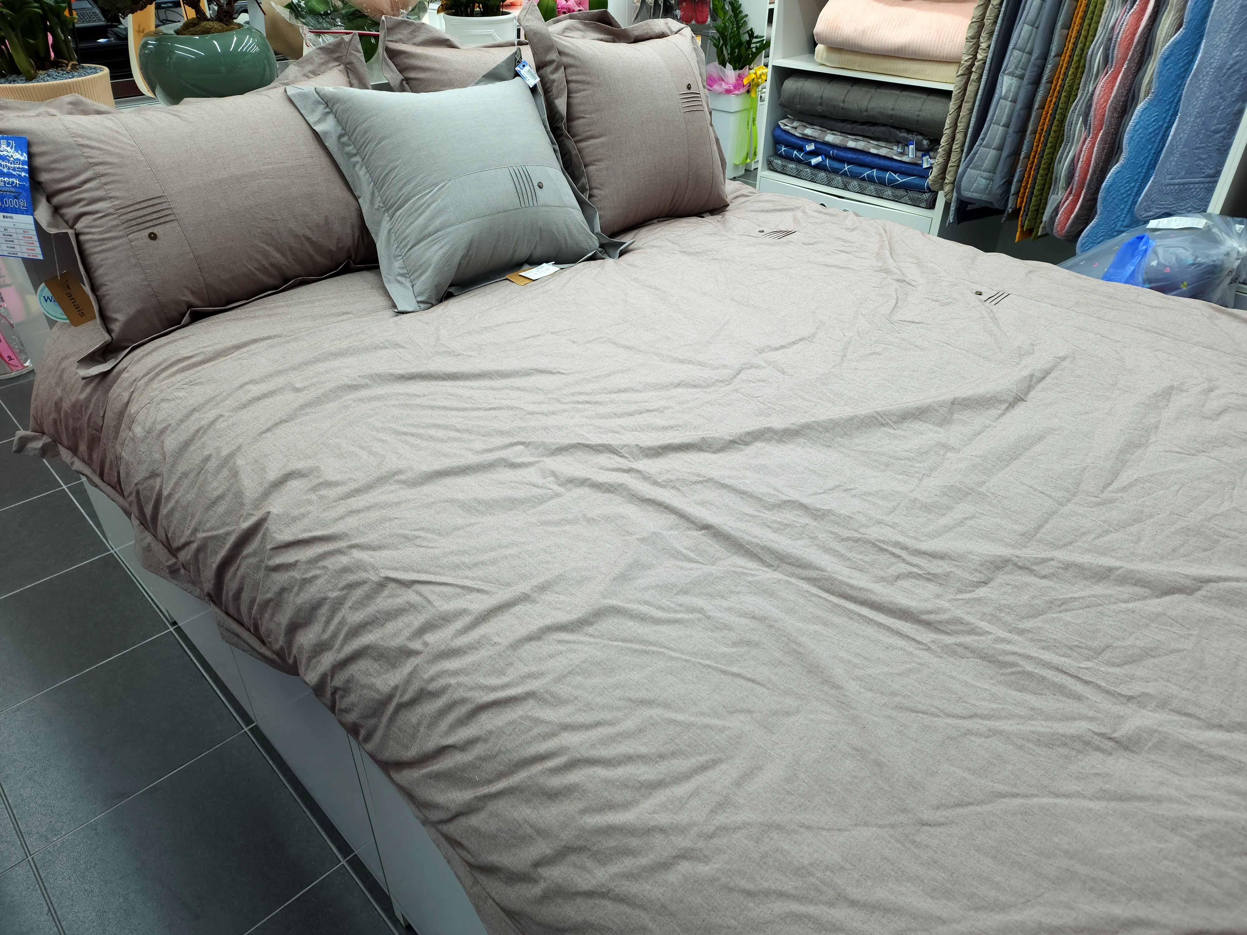 참조은 잠자리 꿀잠 대표 이미지