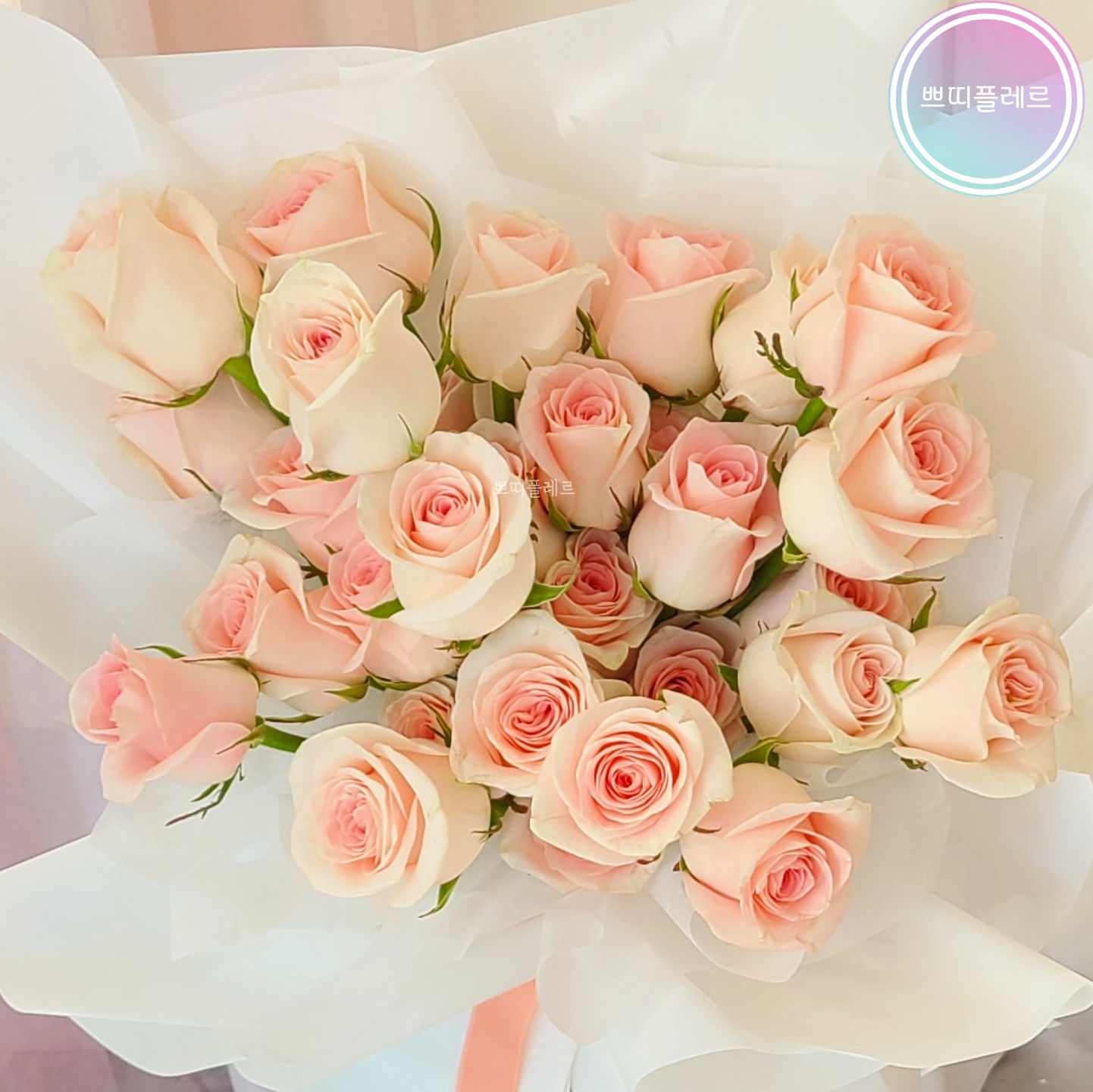 쁘띠플레르
