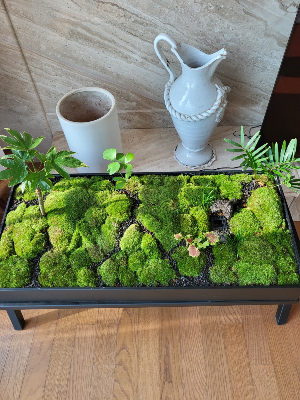 모스팜 대표 이미지