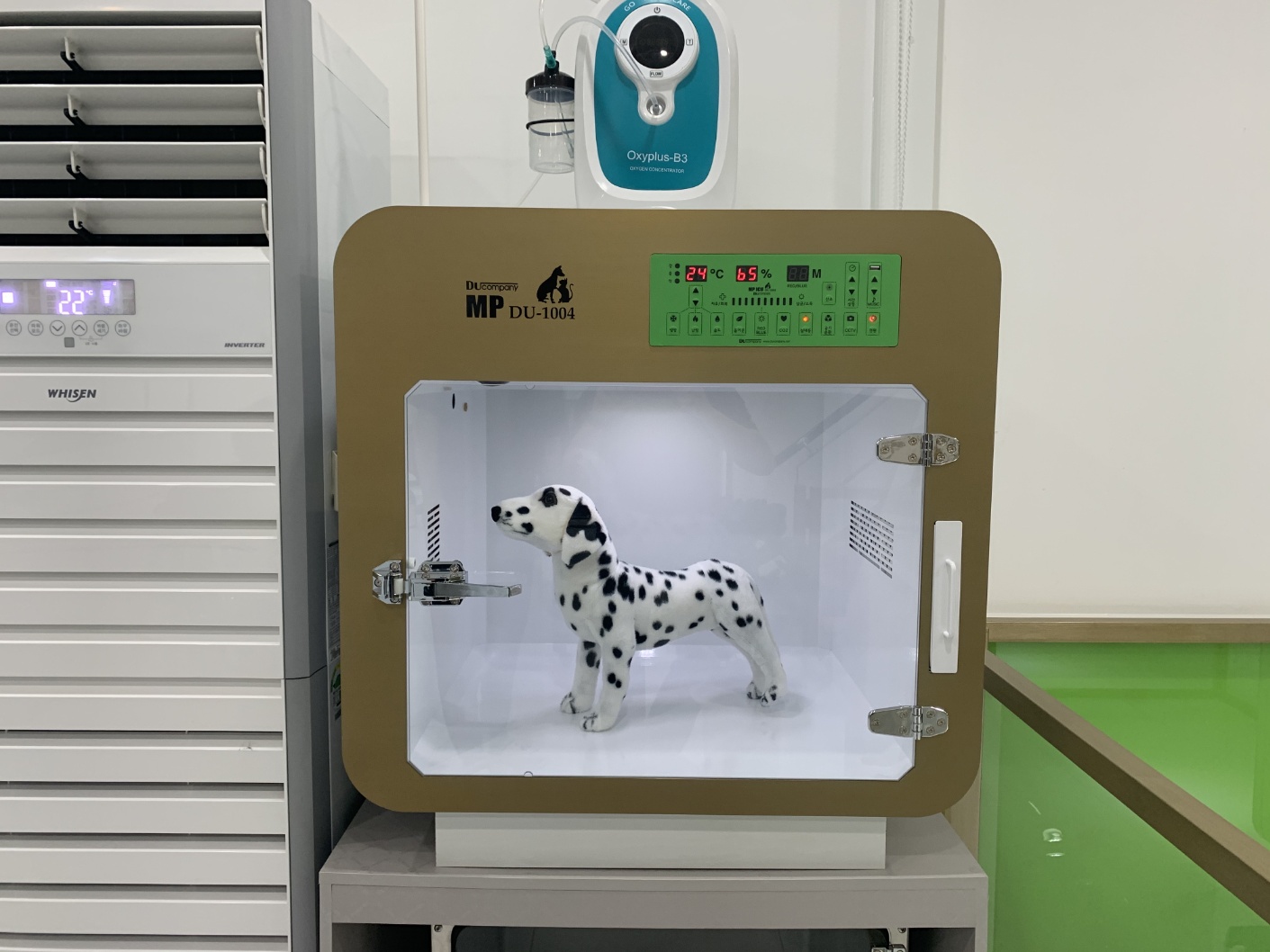 디유컴퍼니 대표 이미지