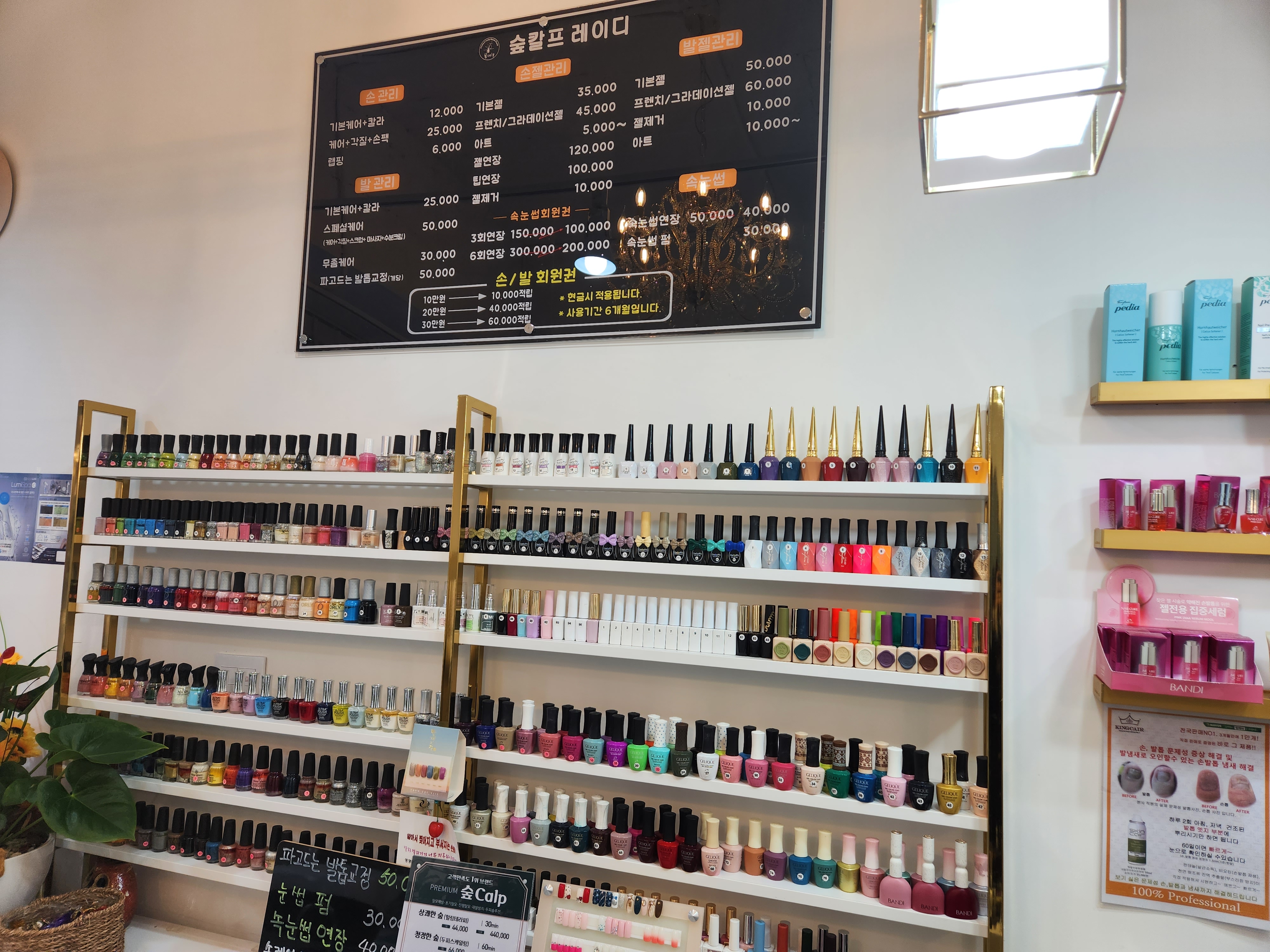 숲칼프레이디 대표 이미지