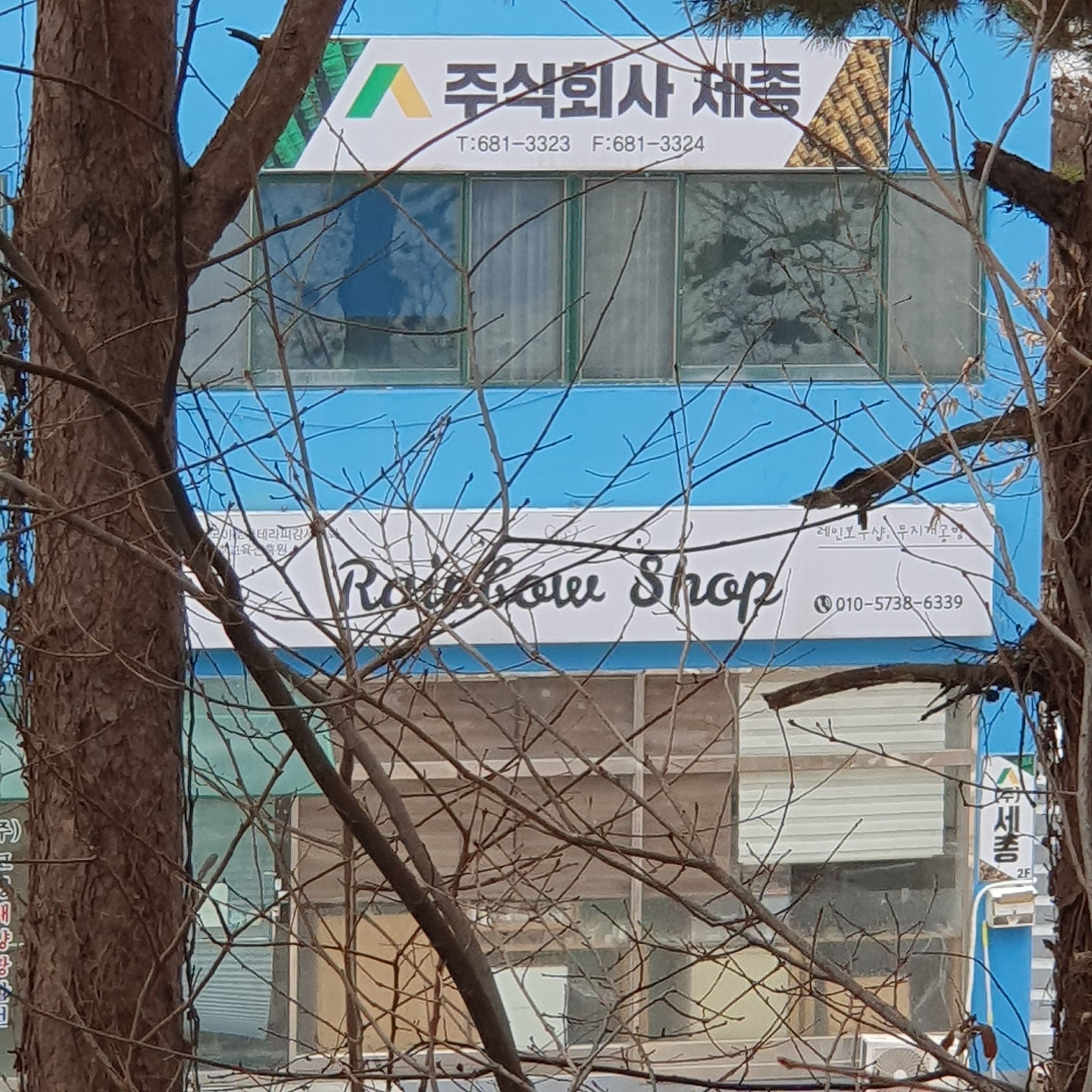 레인보우샵 대표 이미지