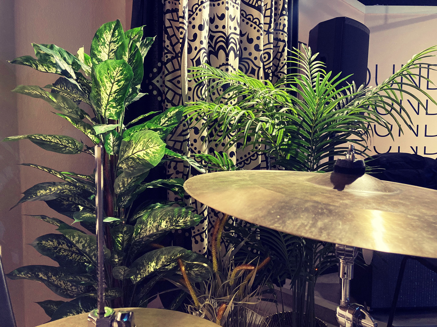 2번째 스튜디오 사진