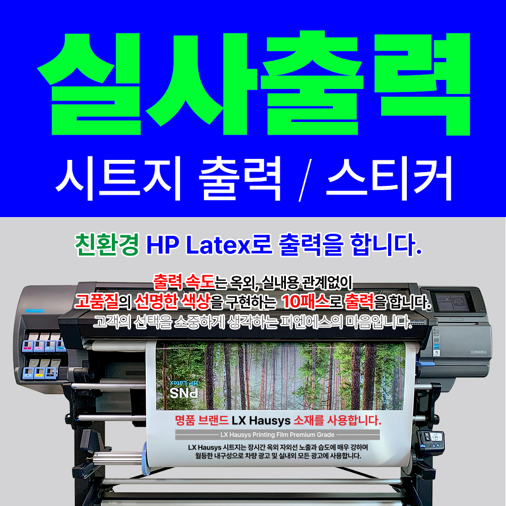 피엔에스