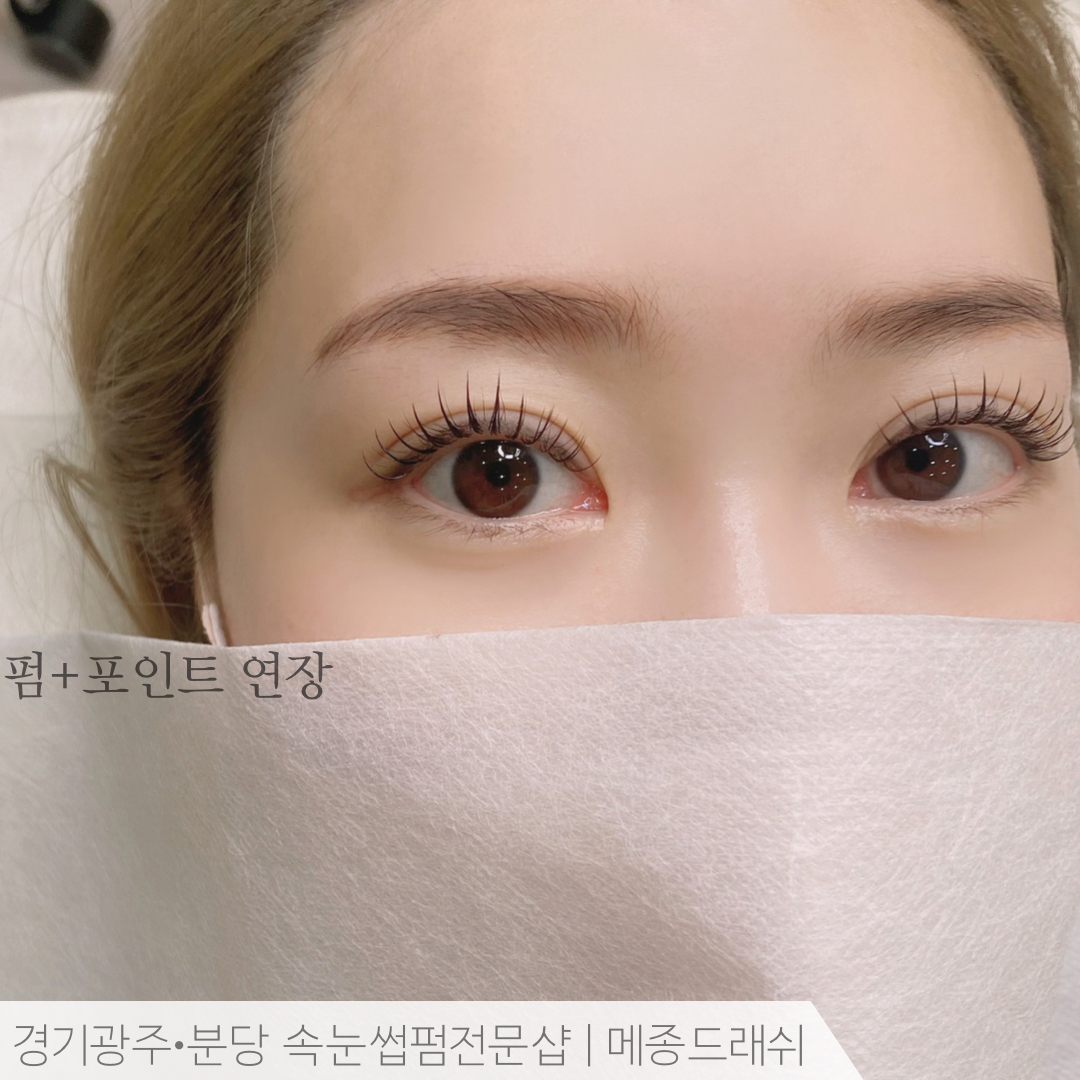 메종드래쉬