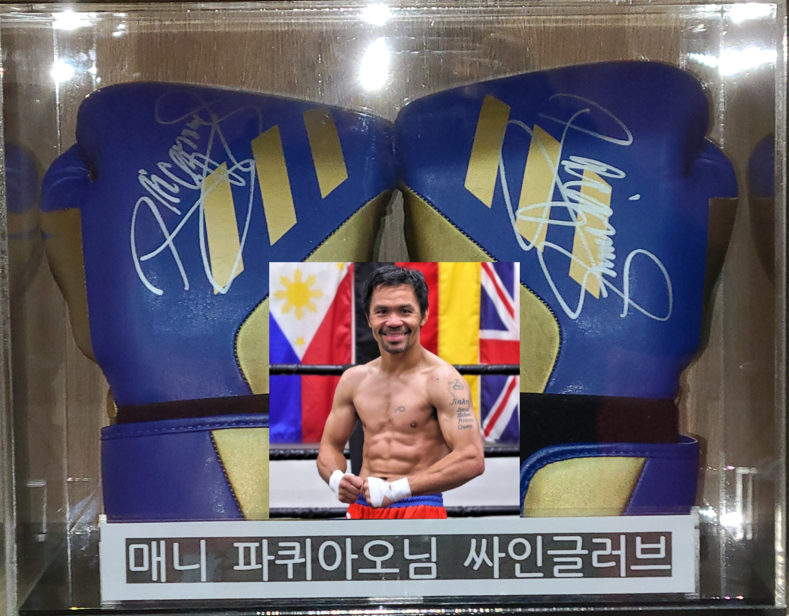 경기도 성남시 분당구 복싱체육관 분당W복싱센터 내부 모습 4