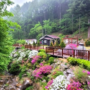 스탈릿캠핑펜션