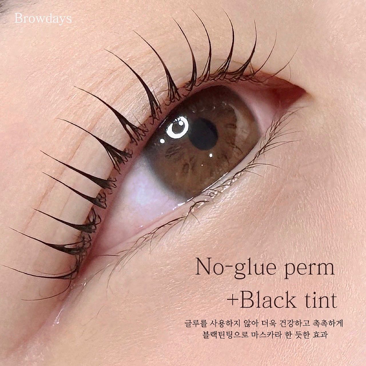 브로우데이즈