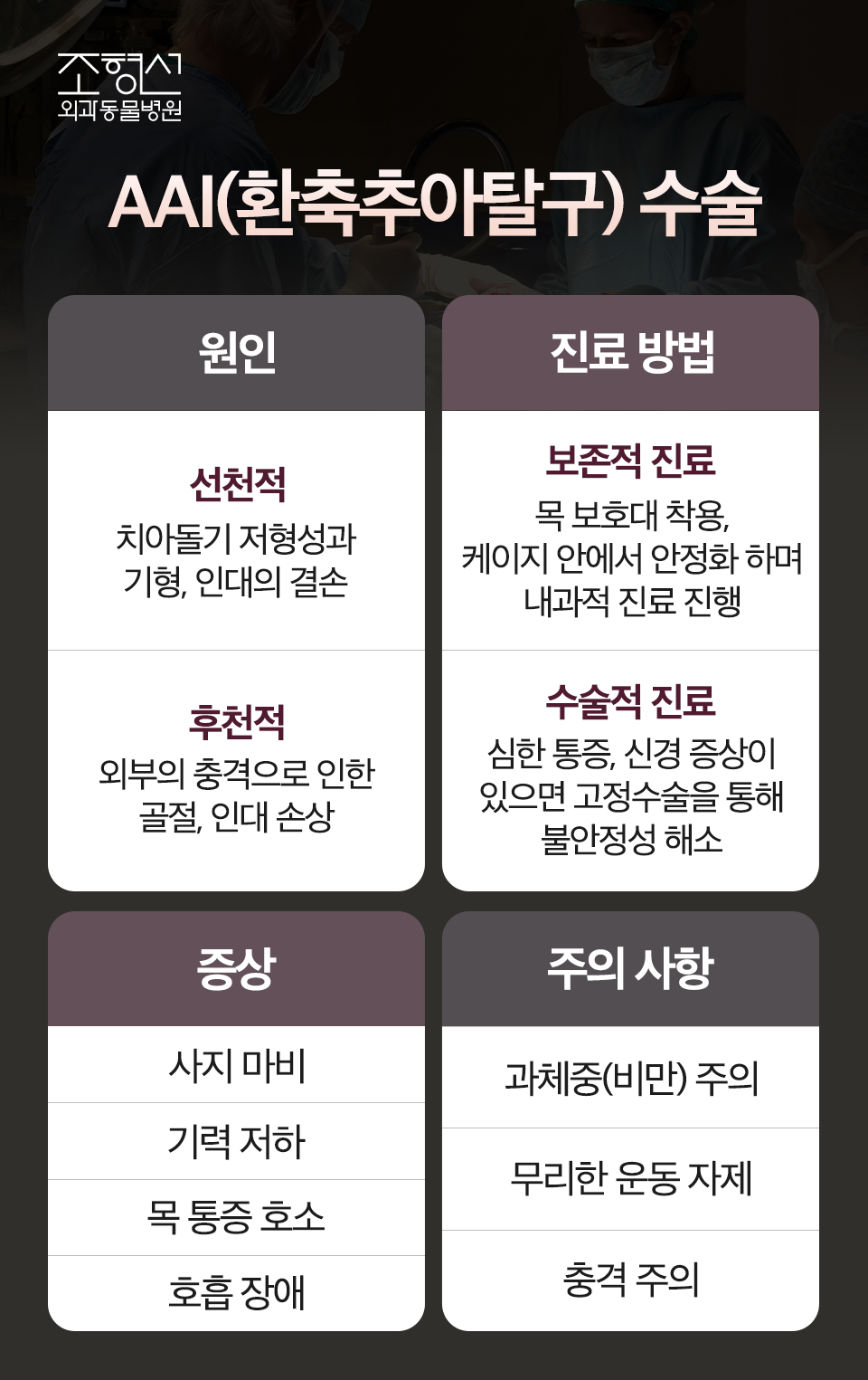 조형선외과동물병원 대표 이미지