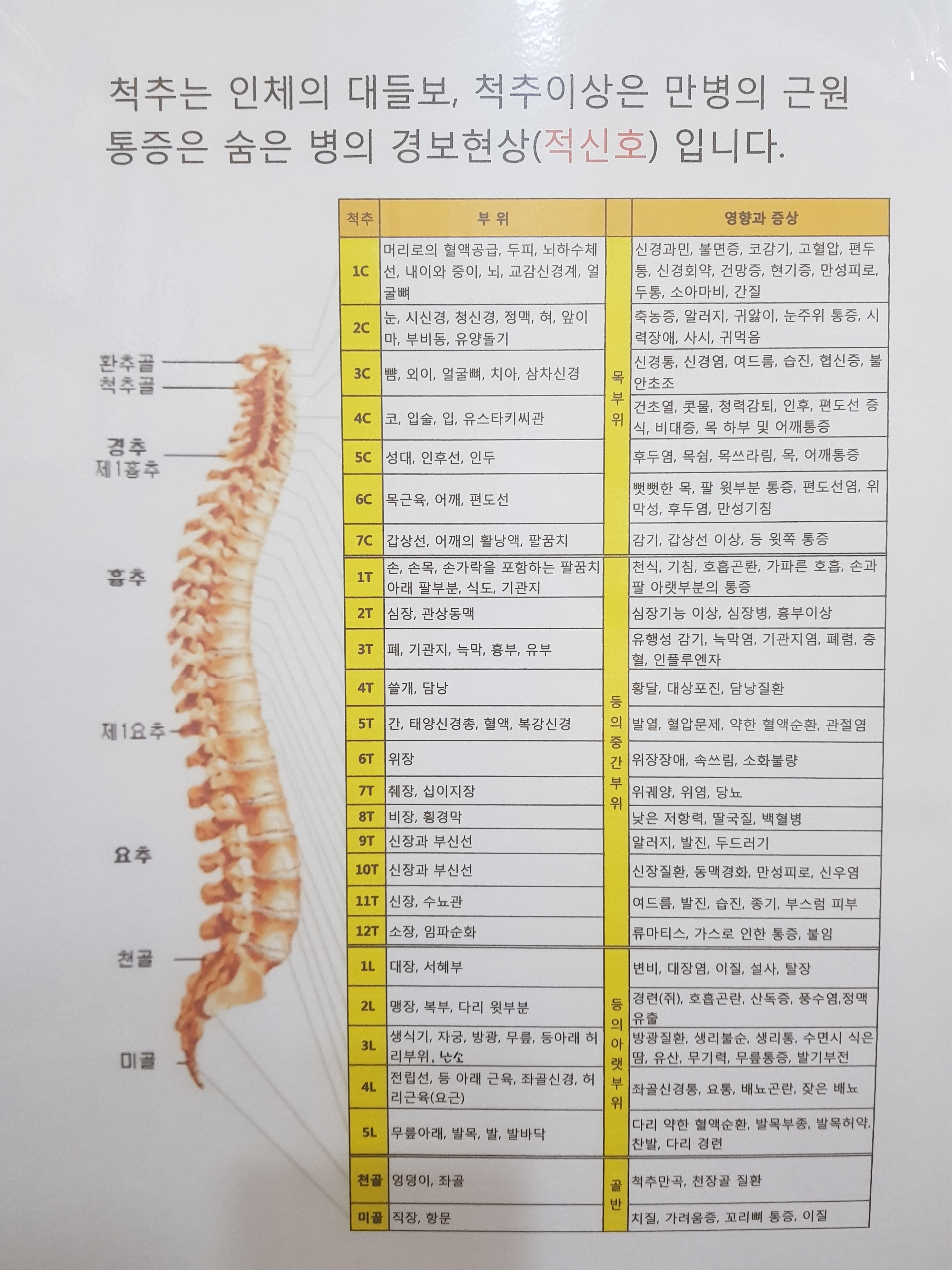 박지영수정테라피 대표 이미지