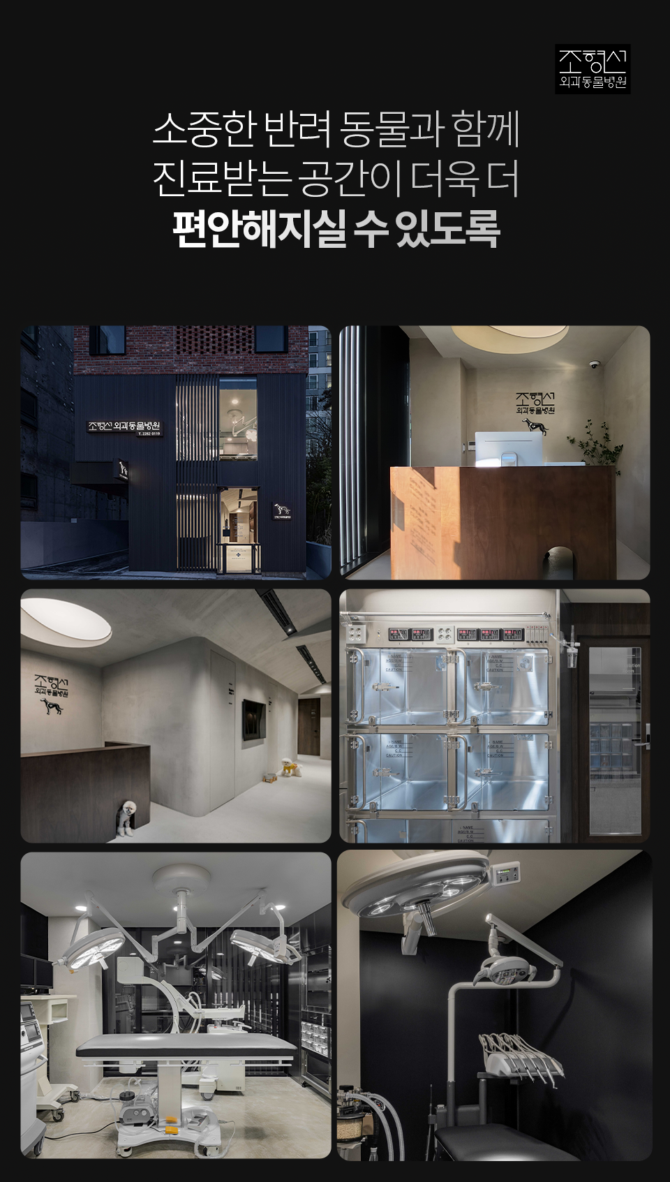 조형선외과동물병원 대표 이미지