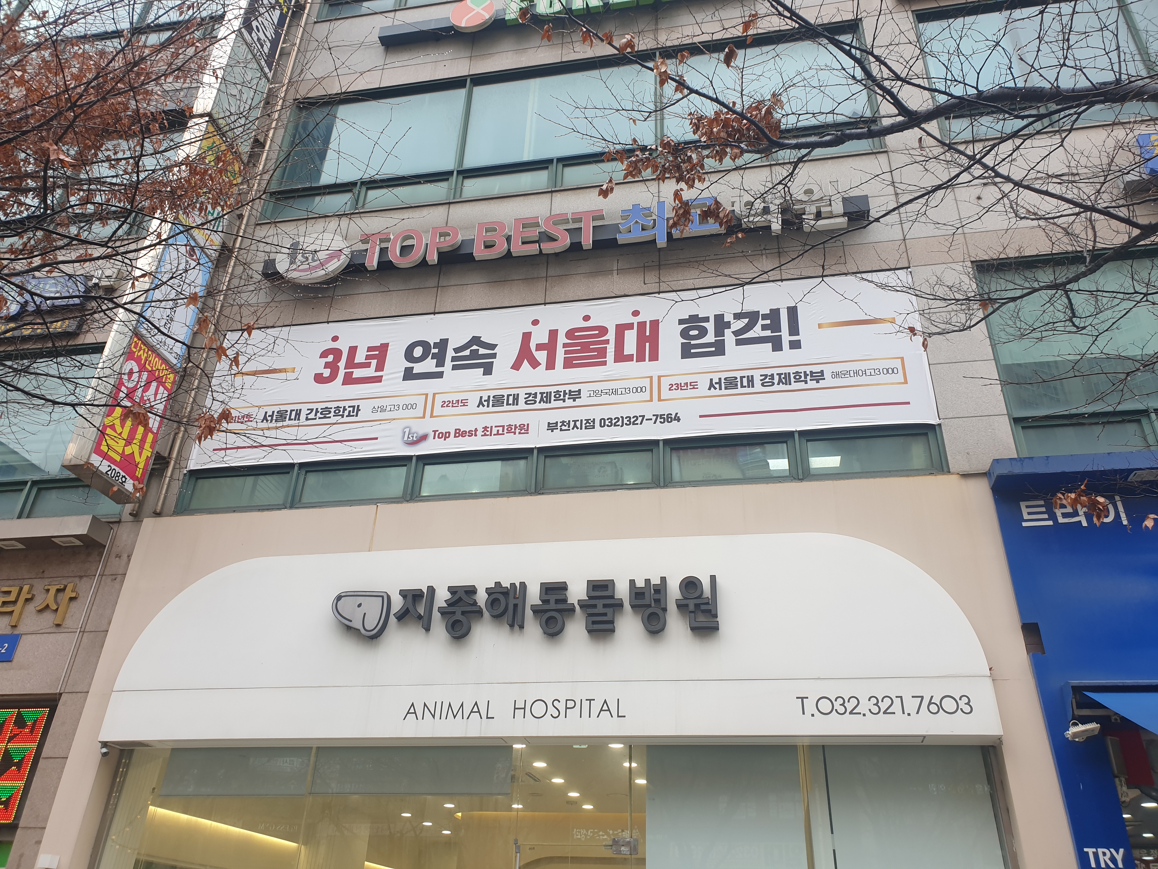 탑베스트최고입시학원