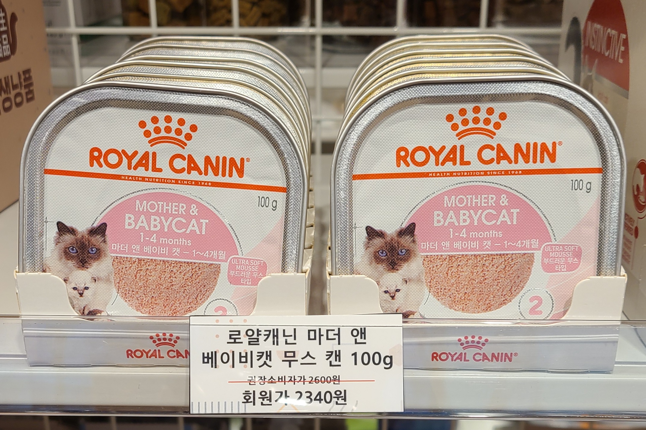 펫티몰 반려동물 동반 애견카페