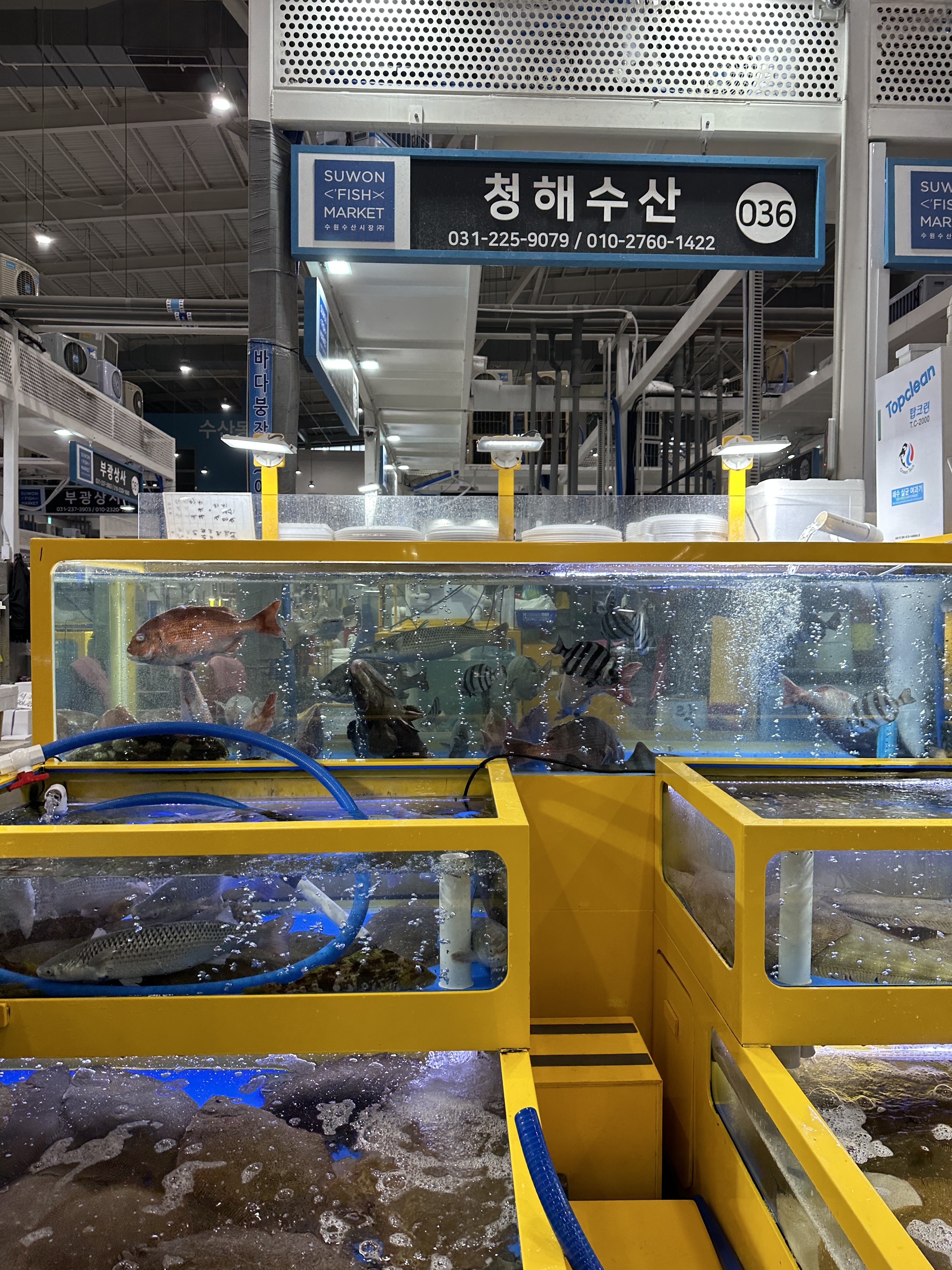 청해수산