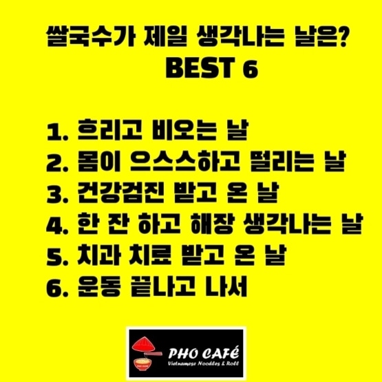 코지트리거 경기 애견맛집