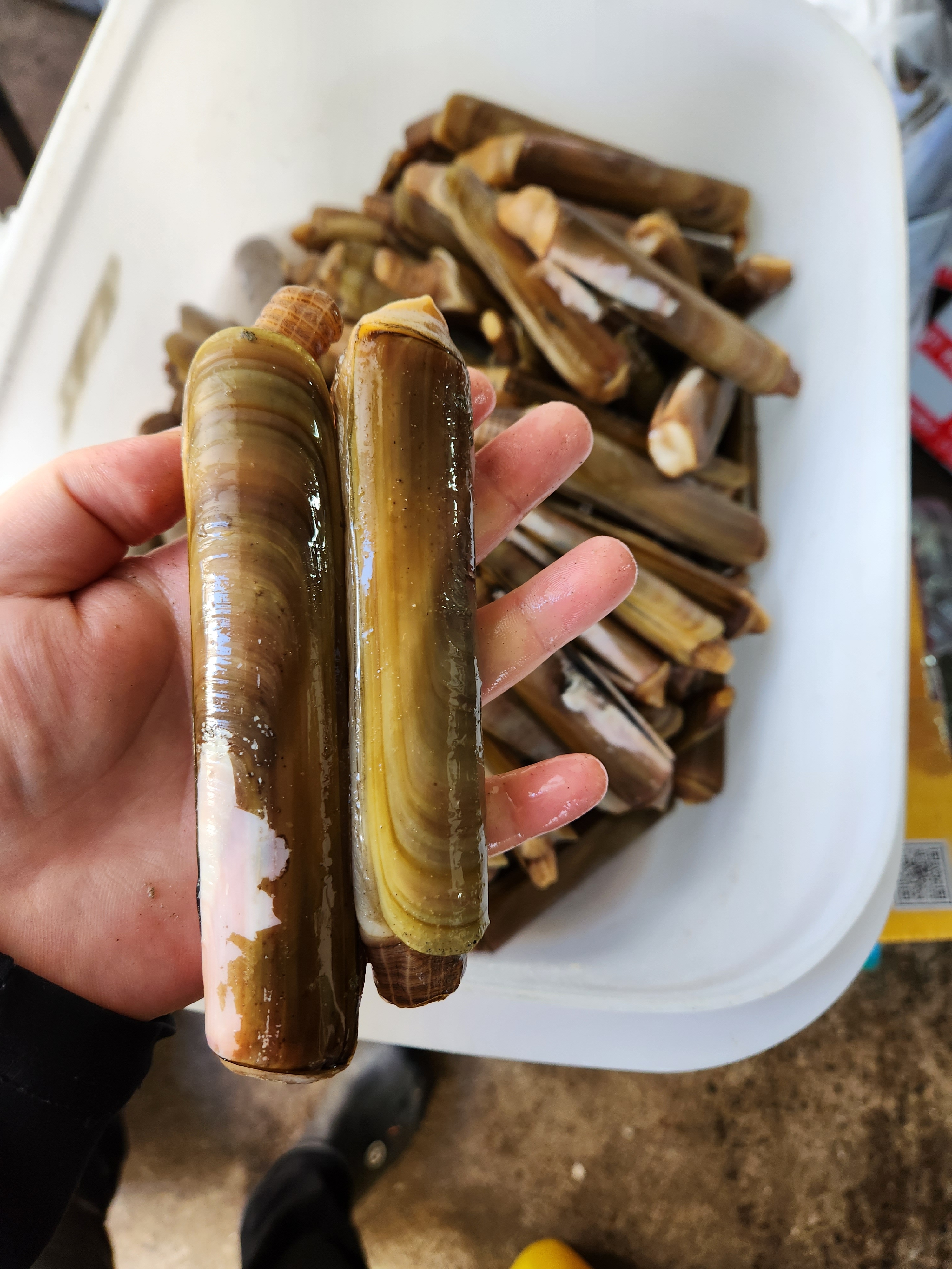 소풍 수제초밥전문점