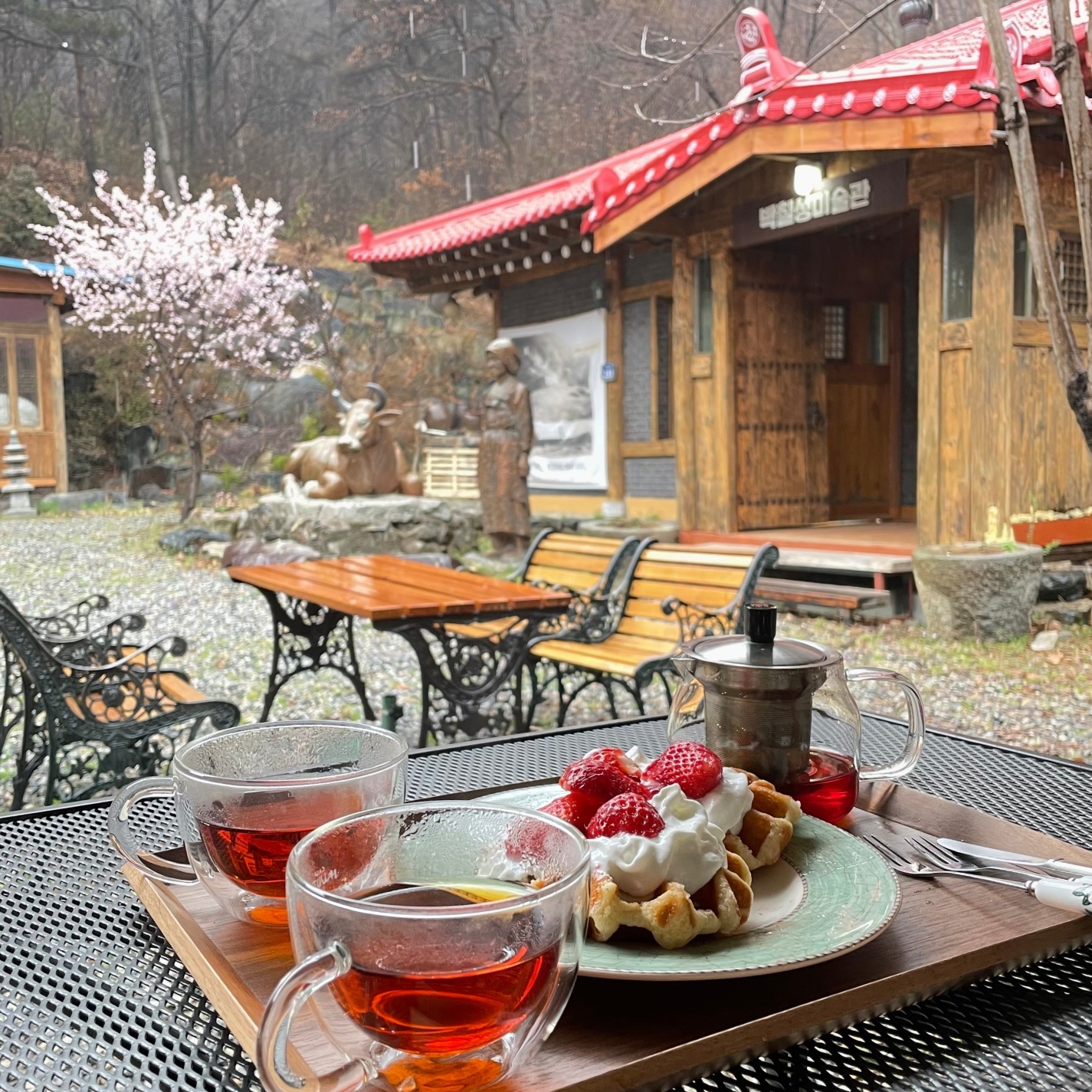 이호갤러리카페