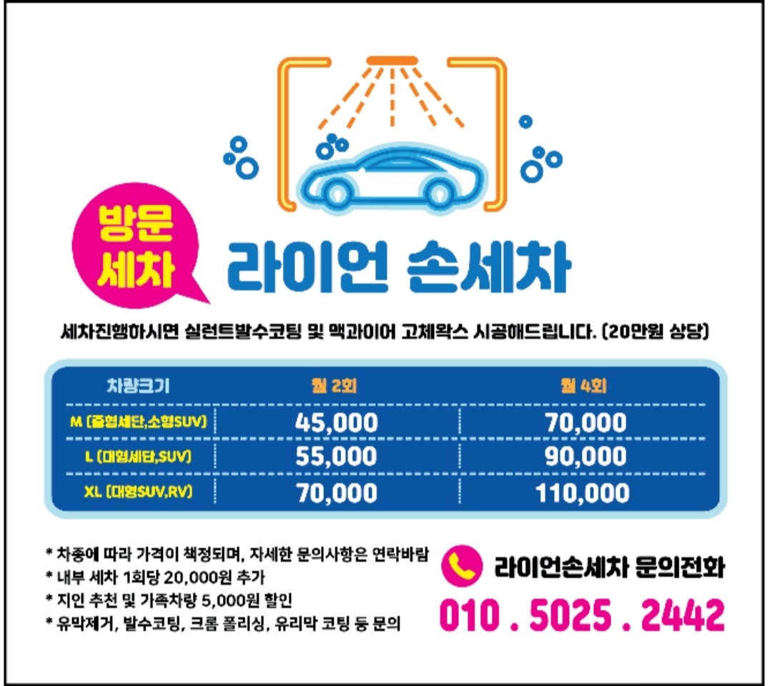 라이언손세차