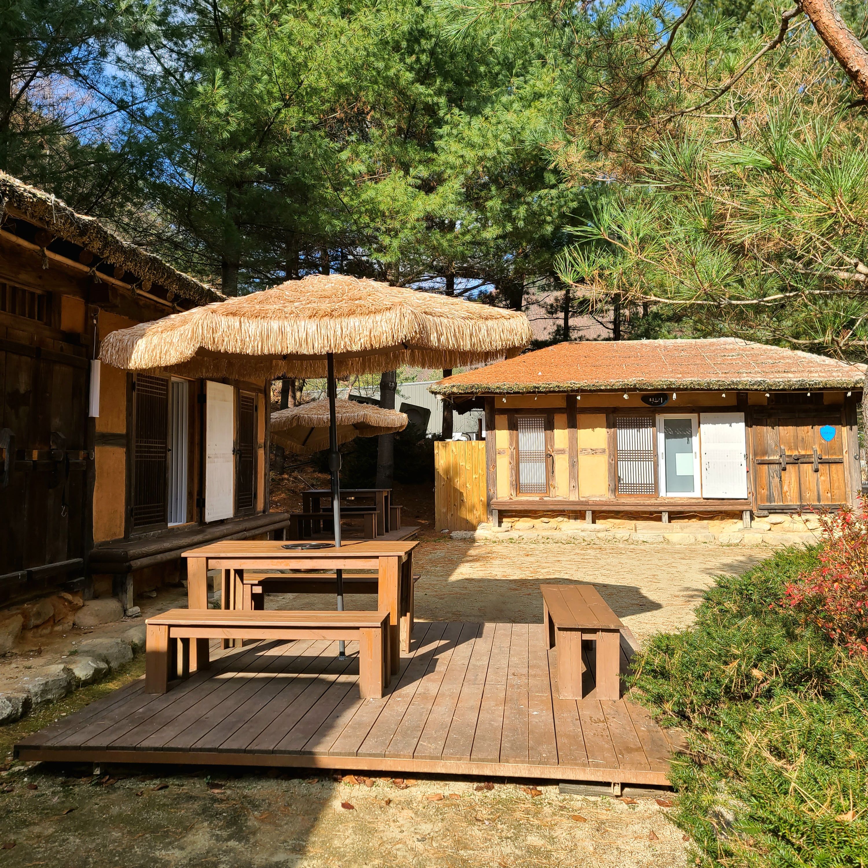 일월산한우네 경상 애견숙소