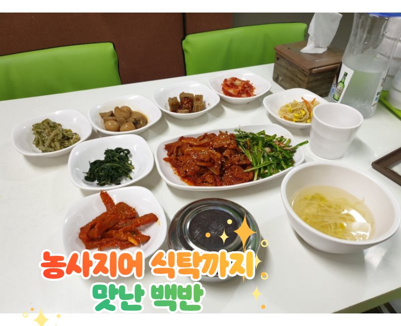 내맘대로밥상