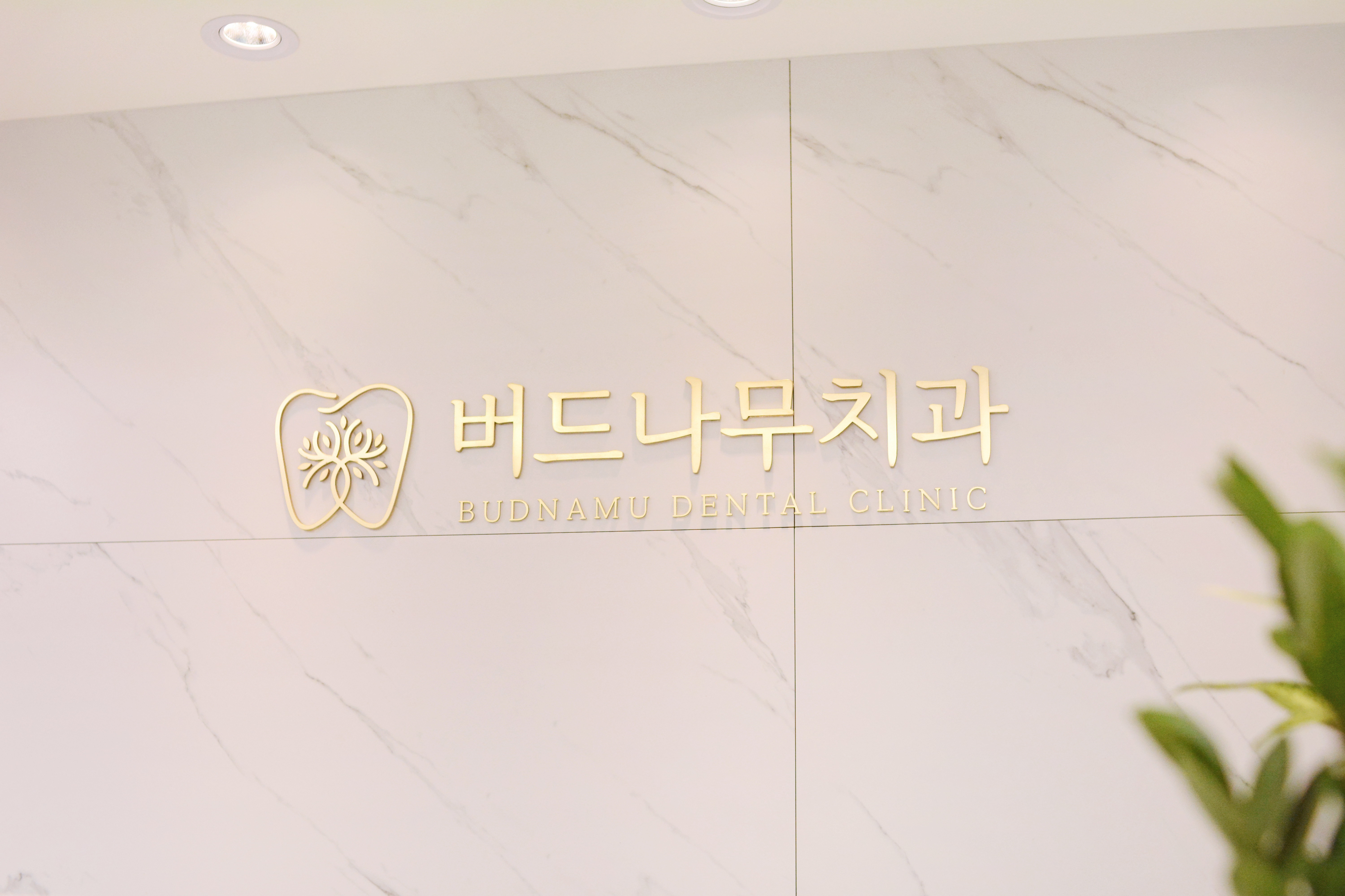 버드나무치과의원 대표 이미지