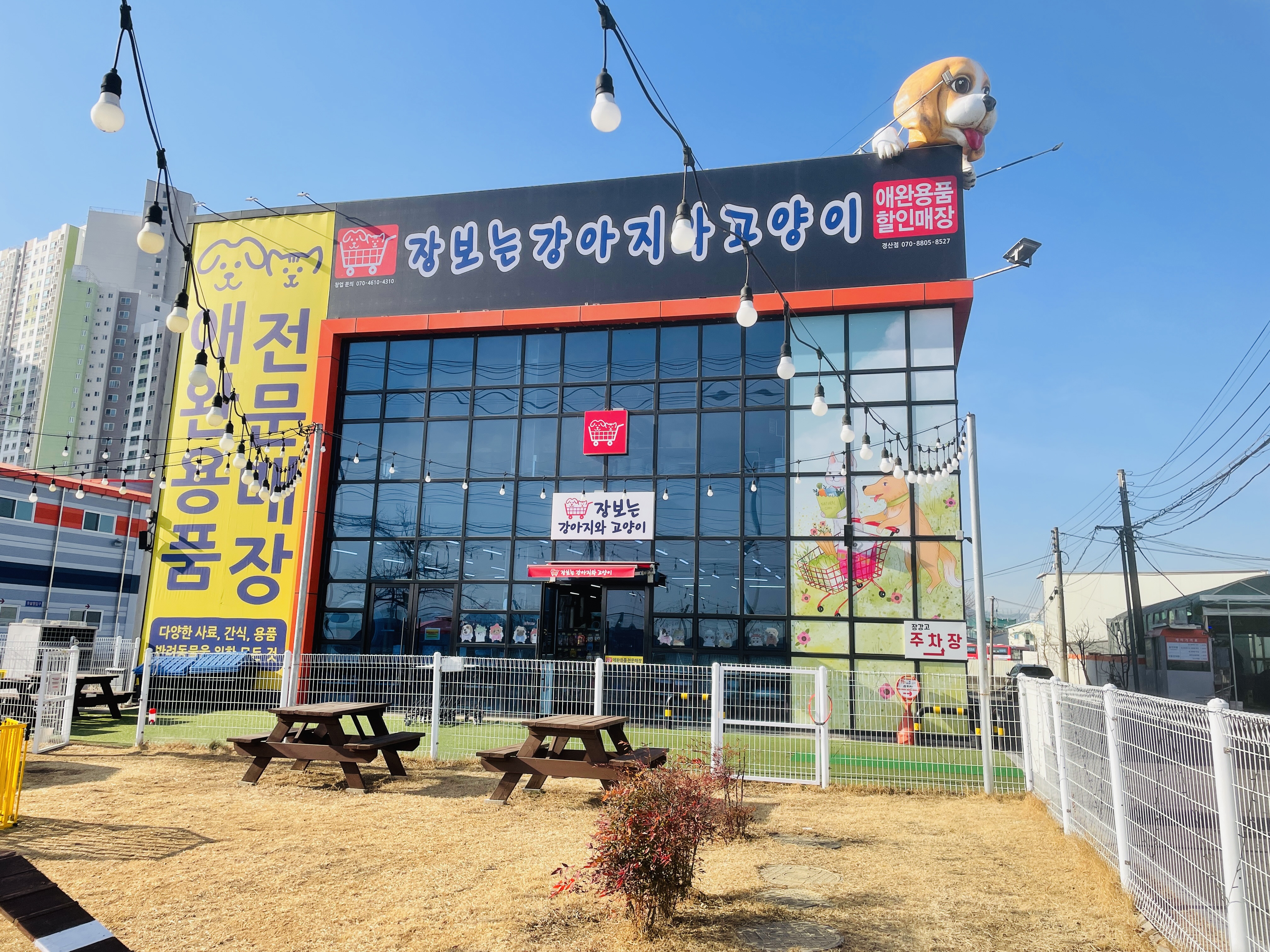 대구 동구 애견용품 전문업체 추천 TOP4 강아지용품 애완용품 애견용품점 반려동물용품점 강아지스카프 애견용품샵 강아지목줄 장보는강아지와고양이 경산점