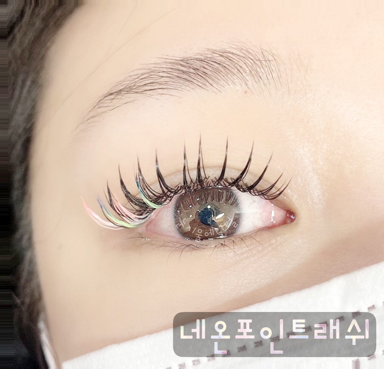 눈시울에난털