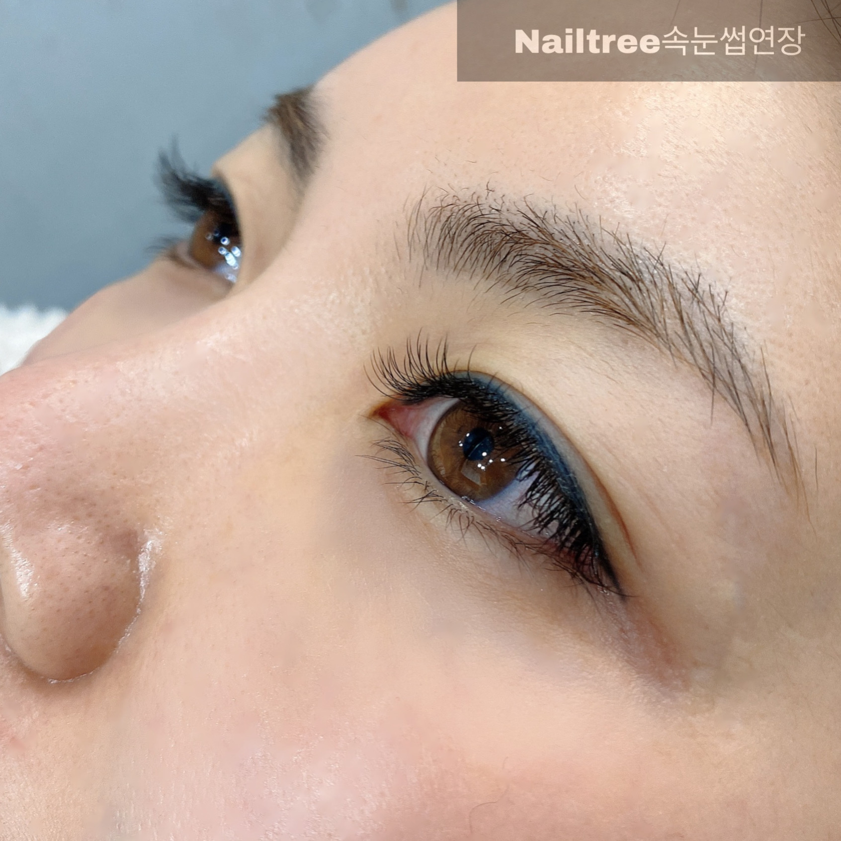 네일트리 관평점 대표 이미지