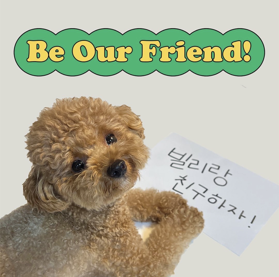 빌리스벳 대표 이미지