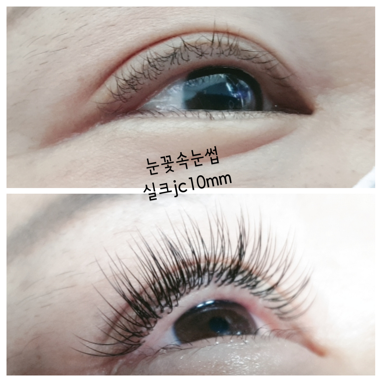 눈꽃 속눈썹