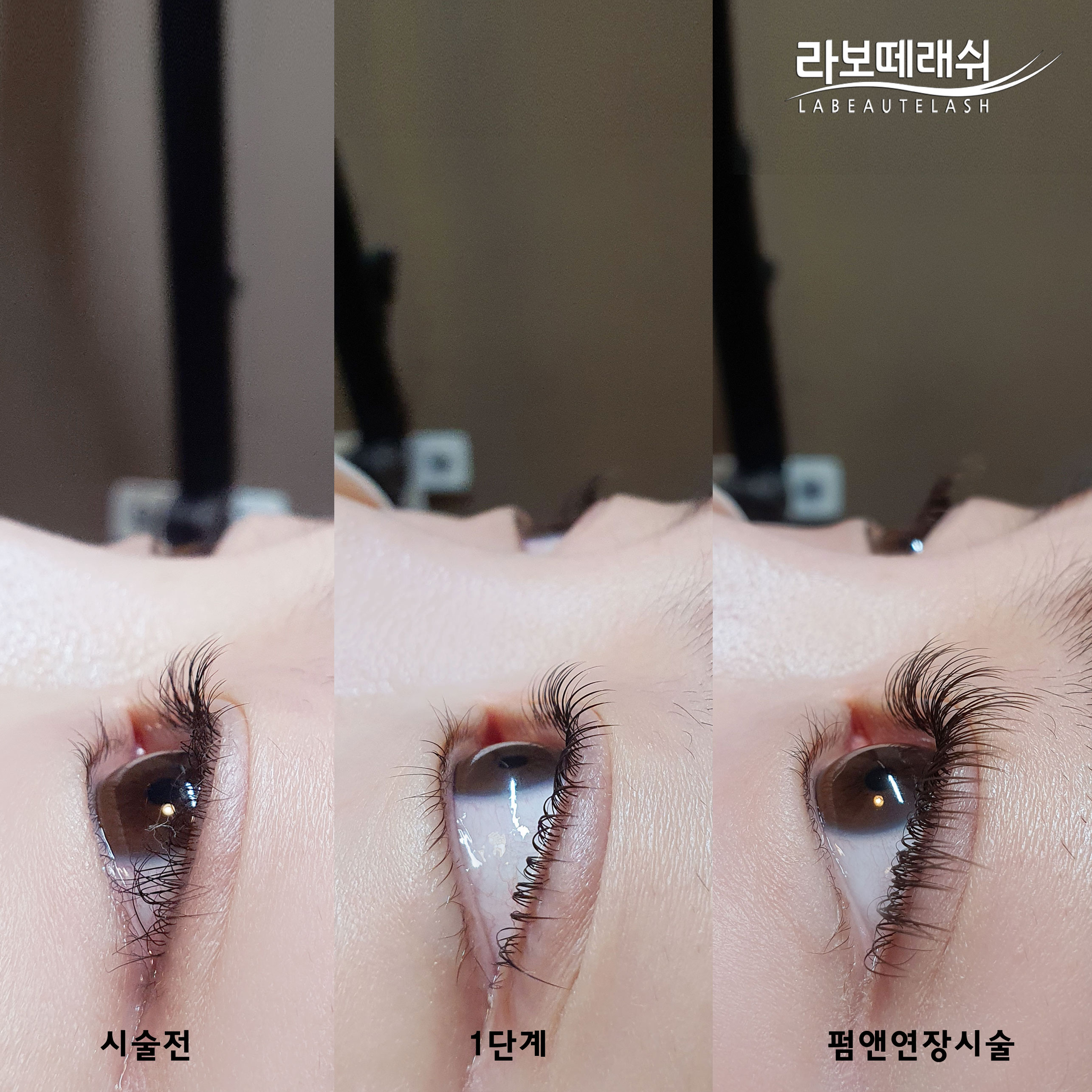 라보떼래쉬 강남2호점