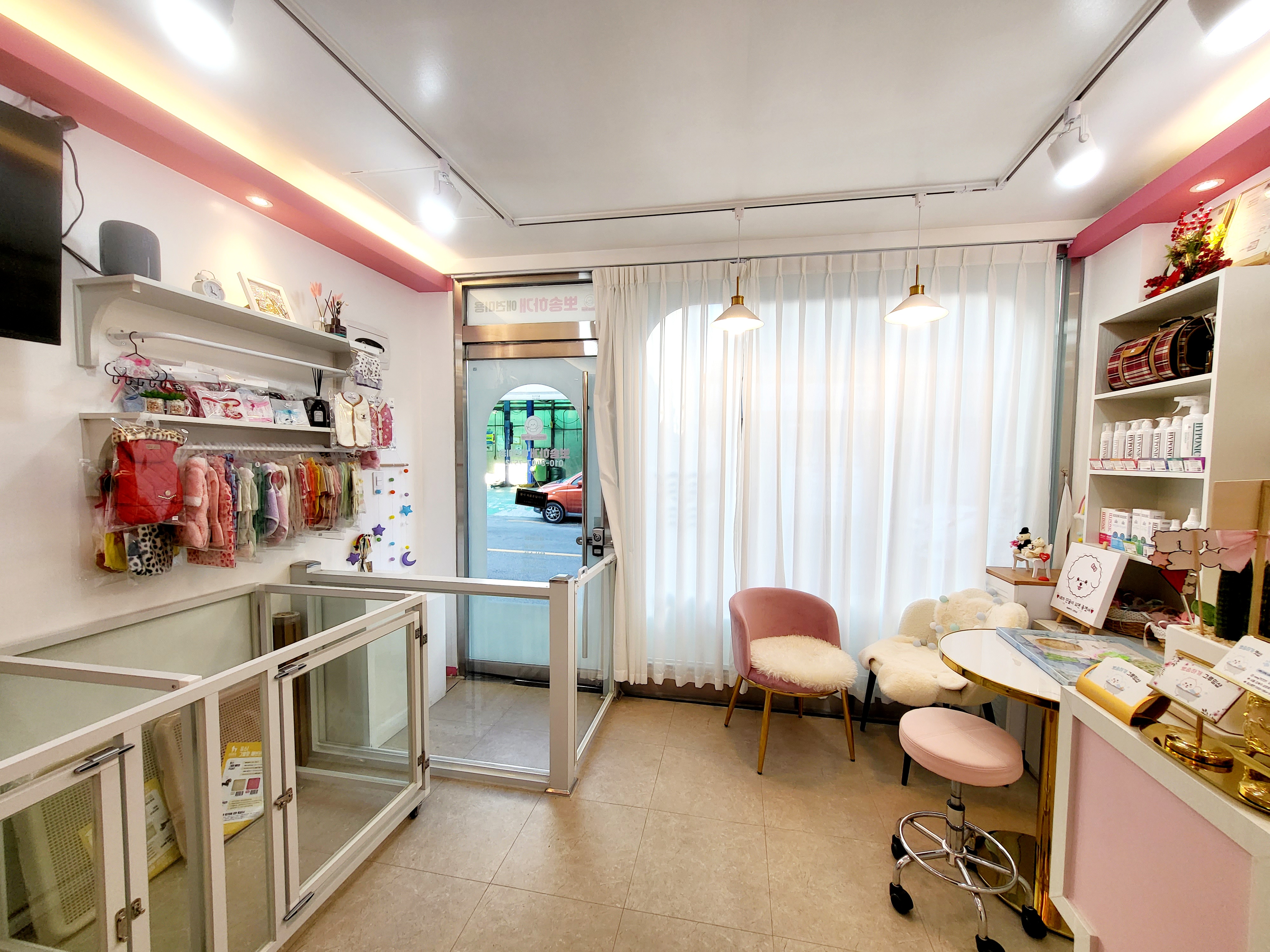 뽀송하개애견미용 대표 이미지