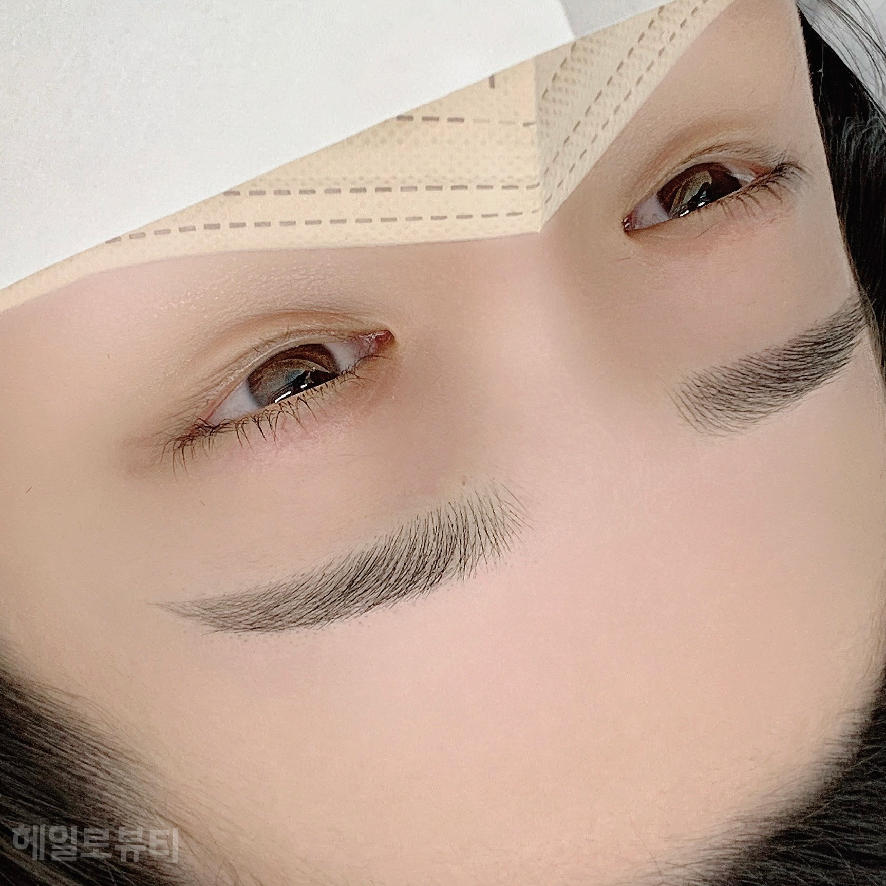 헤일로뷰티 속눈썹펌&눈썹