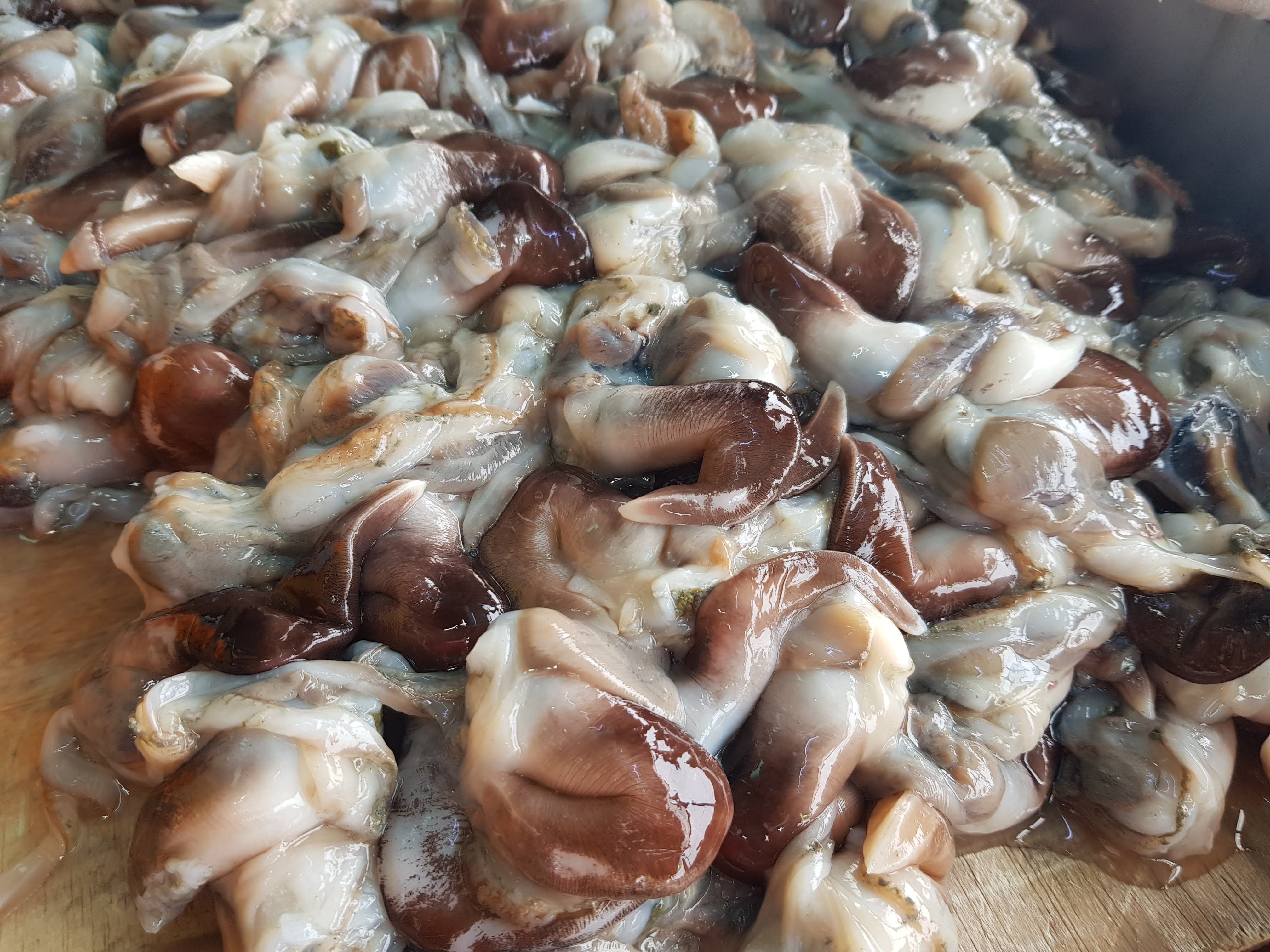 소문난수산 벌써소문난집 대표 이미지